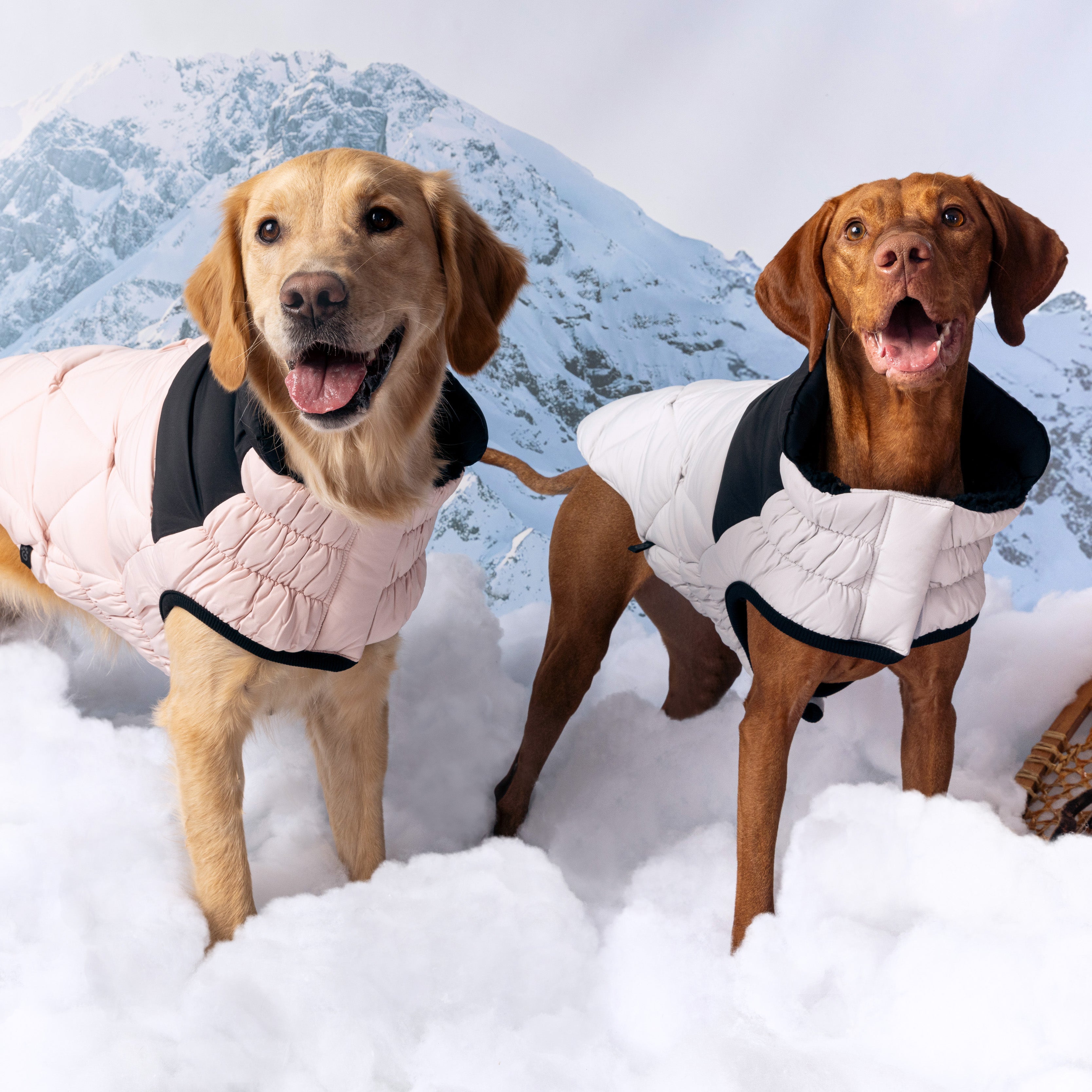 GF PET® Black Label Diamond Puffer - Modern Quilted Dog Jacket