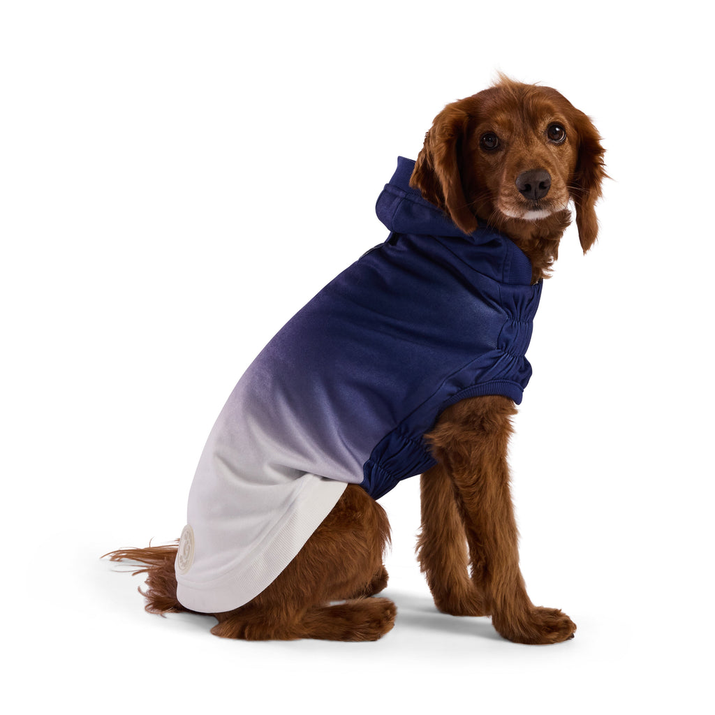GF PET® Elasto-Fit® Good Vibes Hoodie (Retro Gradient Design)ie
