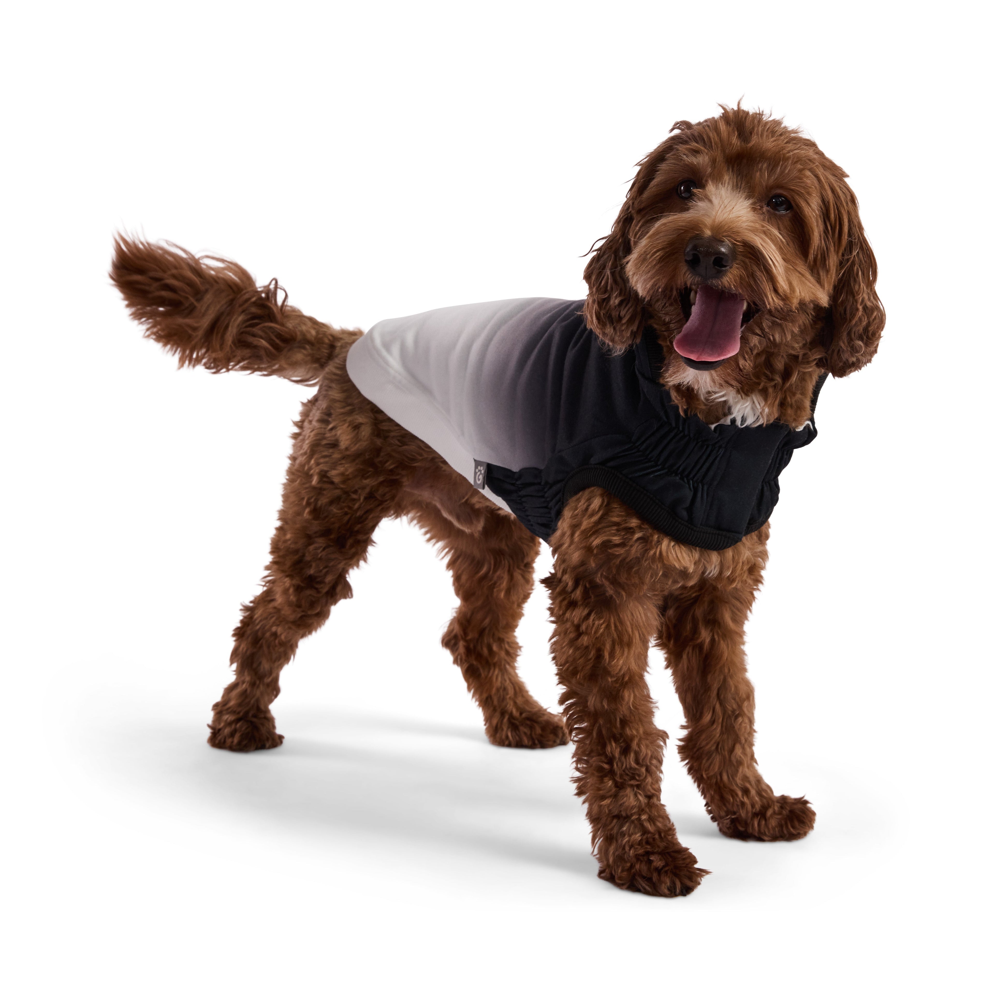 GF PET® Elasto-Fit® Good Vibes Hoodie (Retro Gradient Design)ie