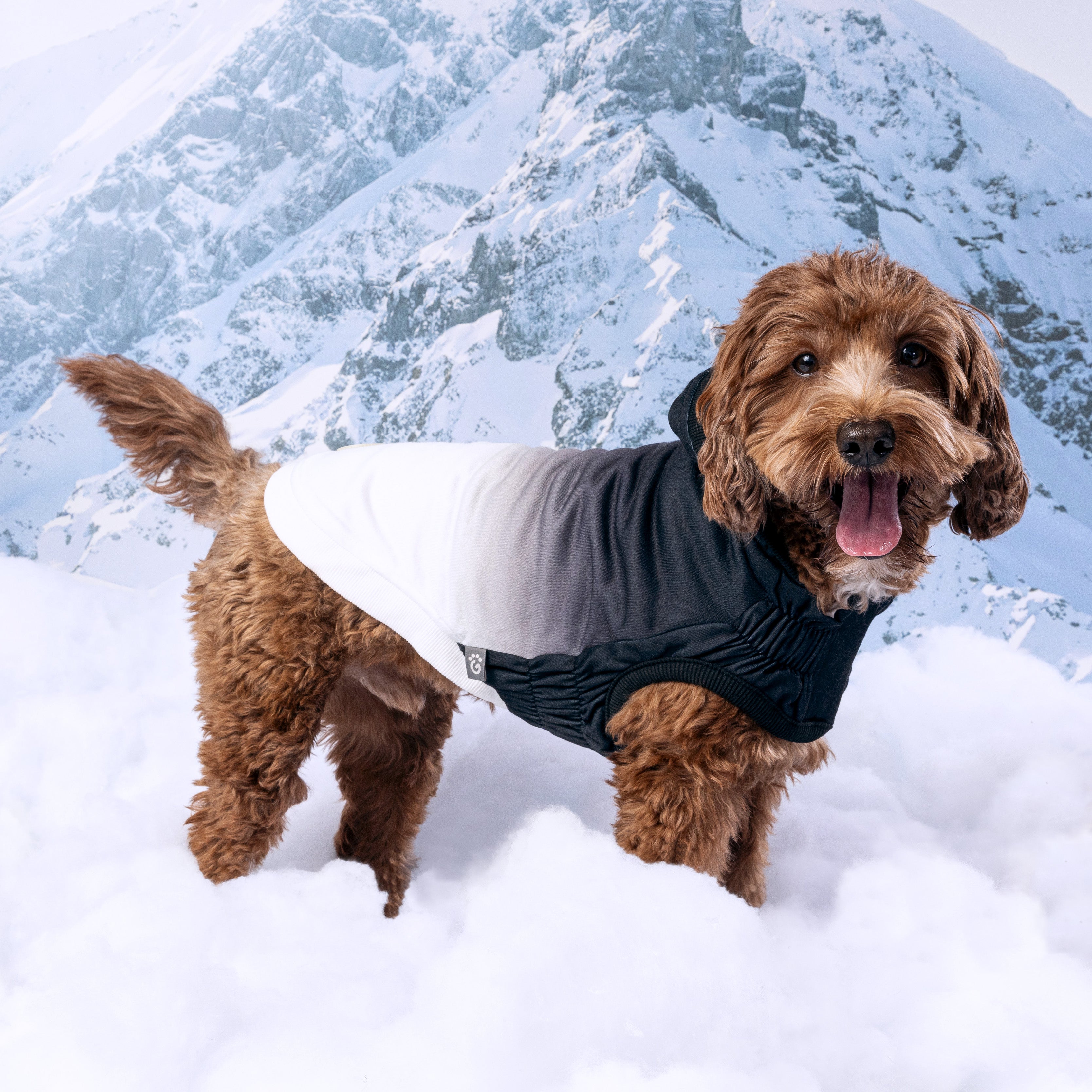 GF PET® Elasto-Fit® Good Vibes Hoodie (Retro Gradient Design)ie