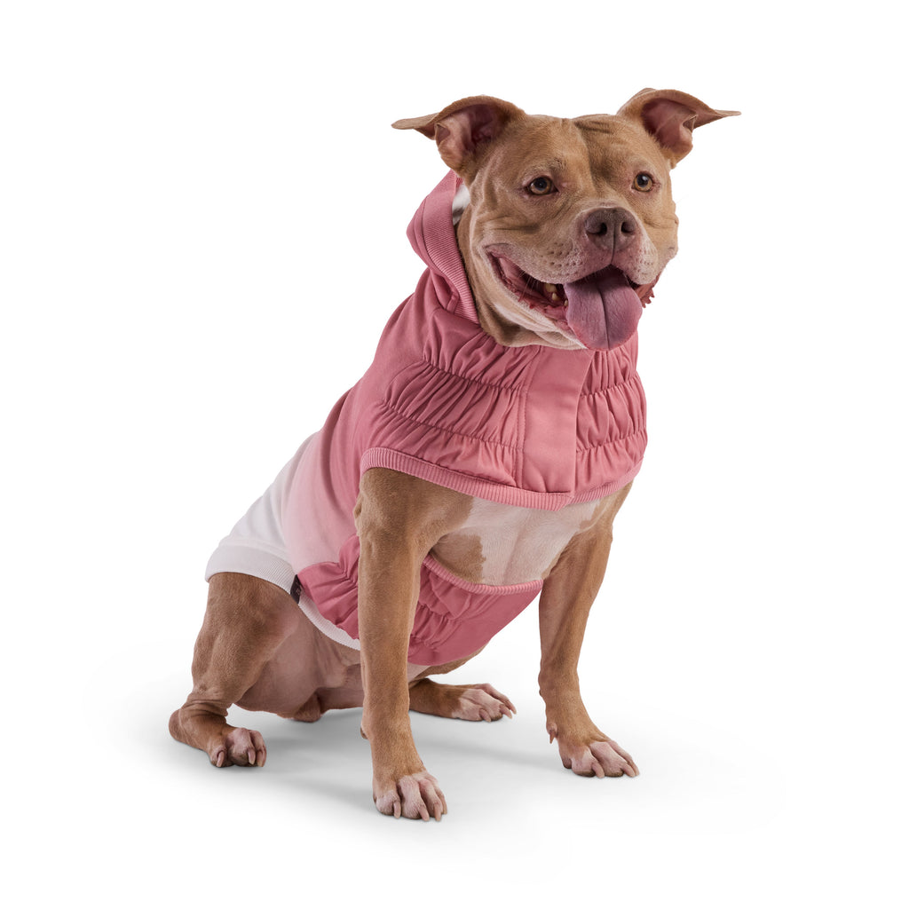 GF PET® Elasto-Fit® Good Vibes Hoodie (Retro Gradient Design)ie
