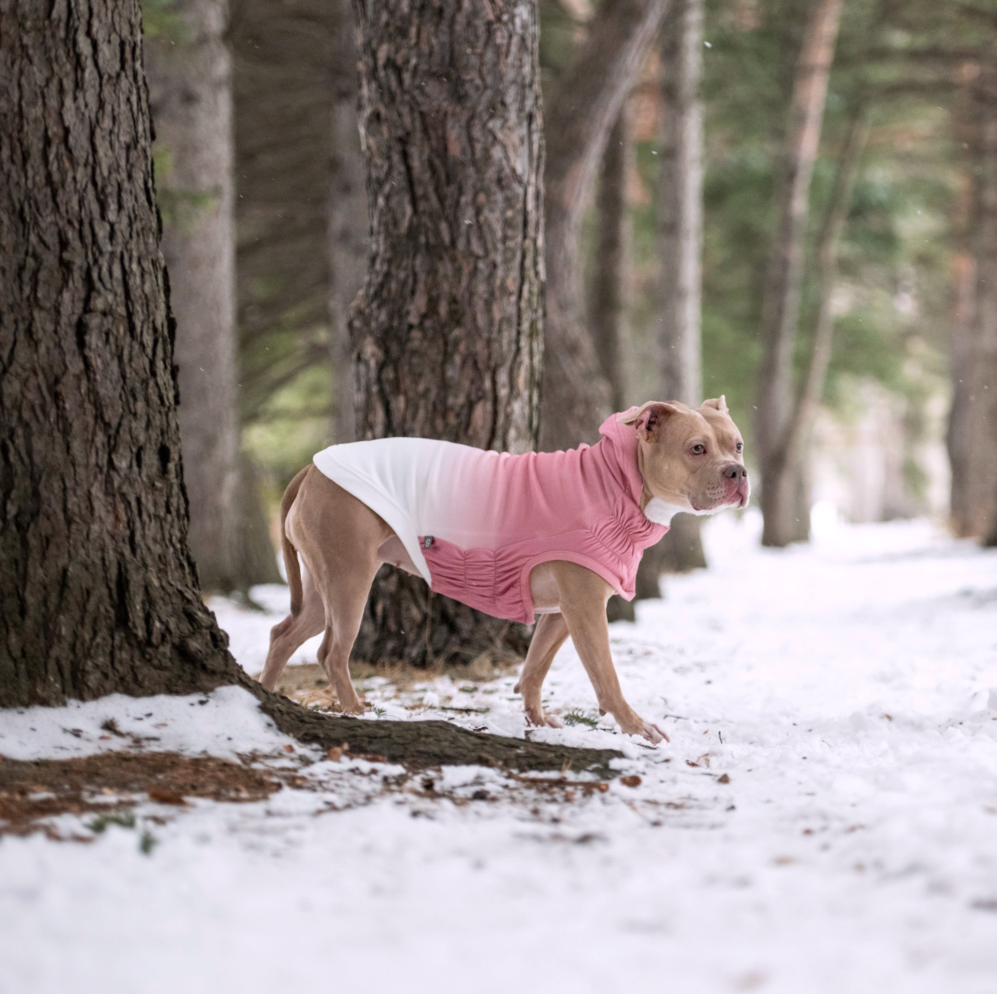 GF PET® Elasto-Fit® Good Vibes Hoodie (Retro Gradient Design)ie
