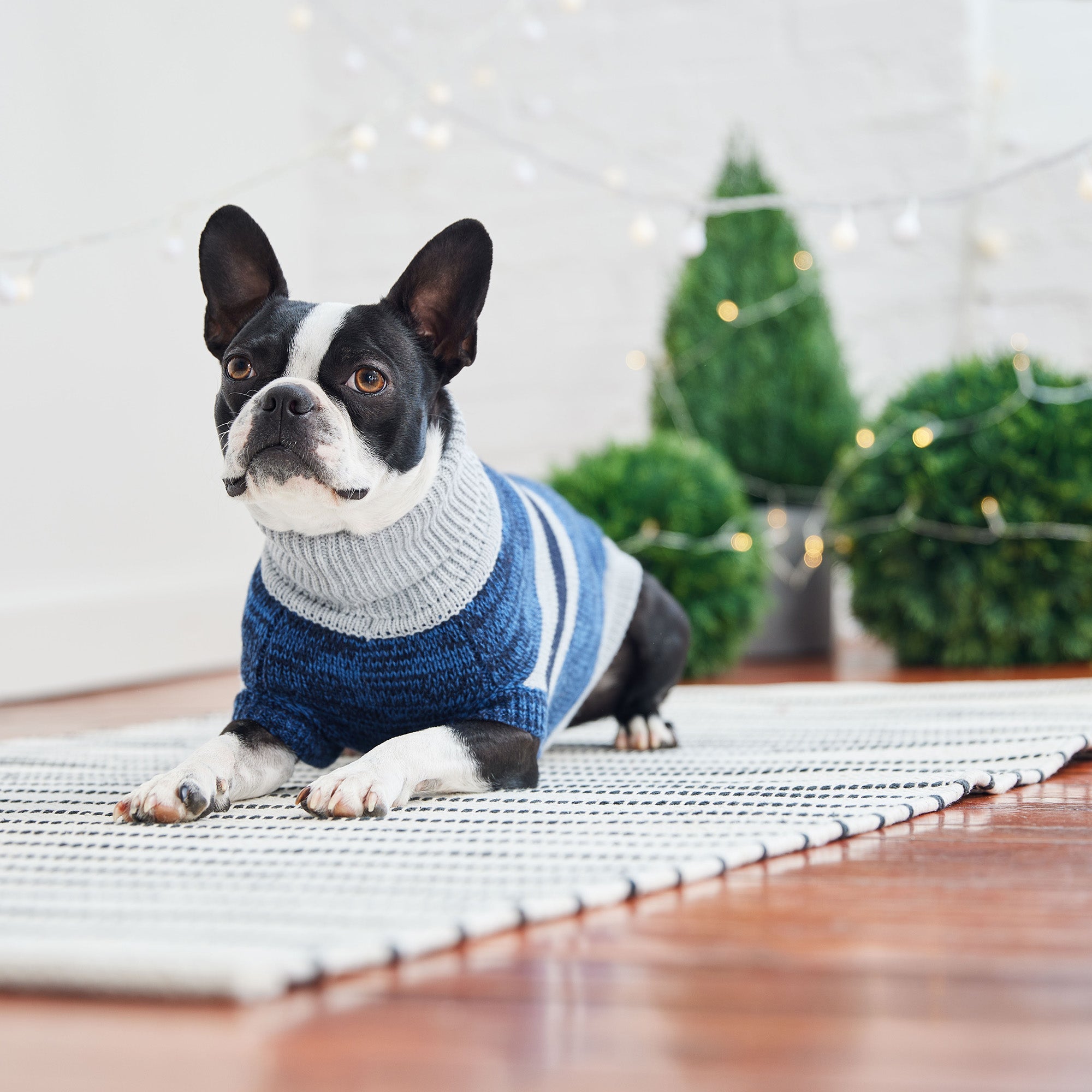 GF PET® Trekking Sweater - Blue (Sporty Stripe & Heather Knit)