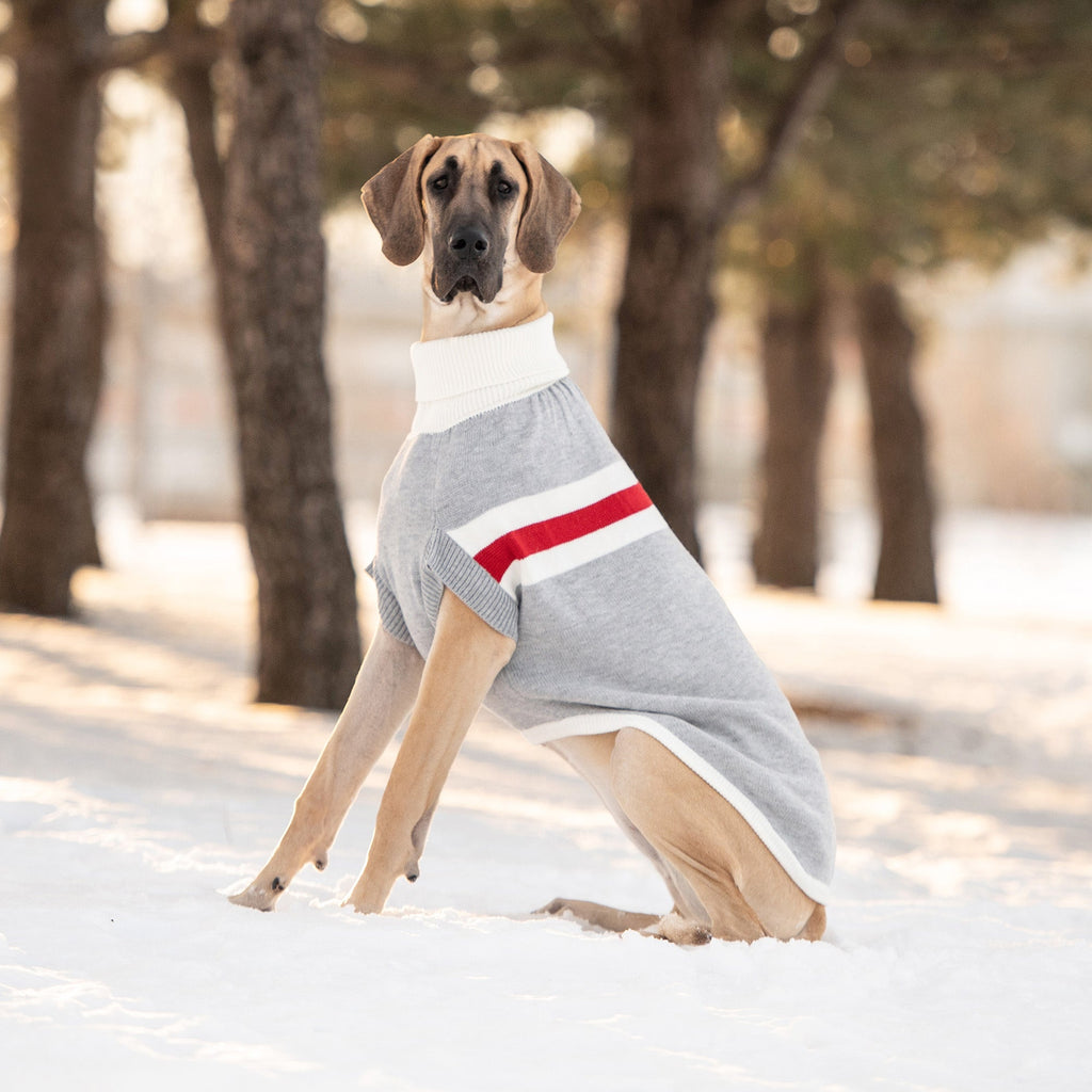 GF PET® Trekking Sweater - Grey Mix (Sporty Heather Stripe & Sculpted Turtleneck)