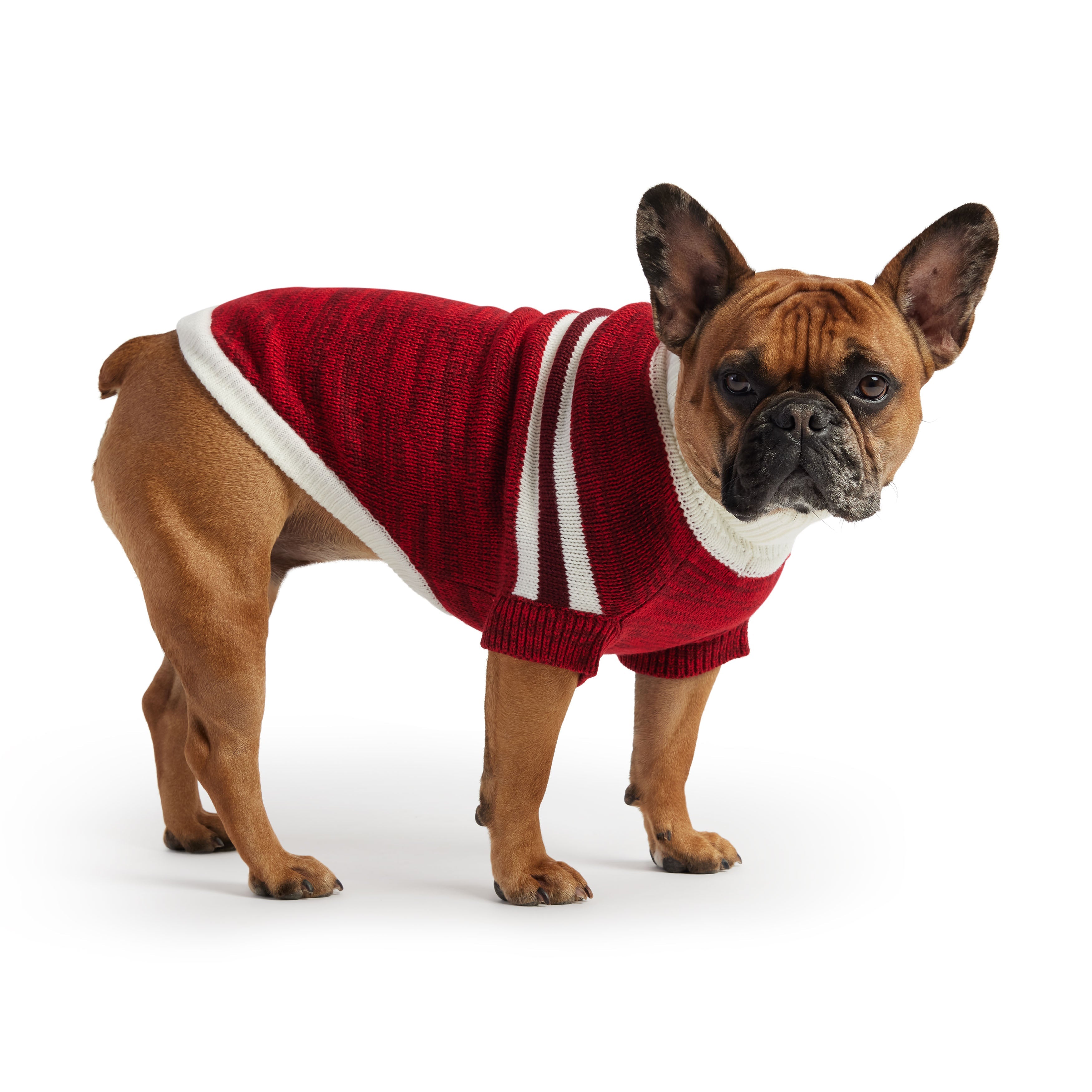 GF PET® Trekking Sweater - Red (Sporty Stripe & Heathered Knit)