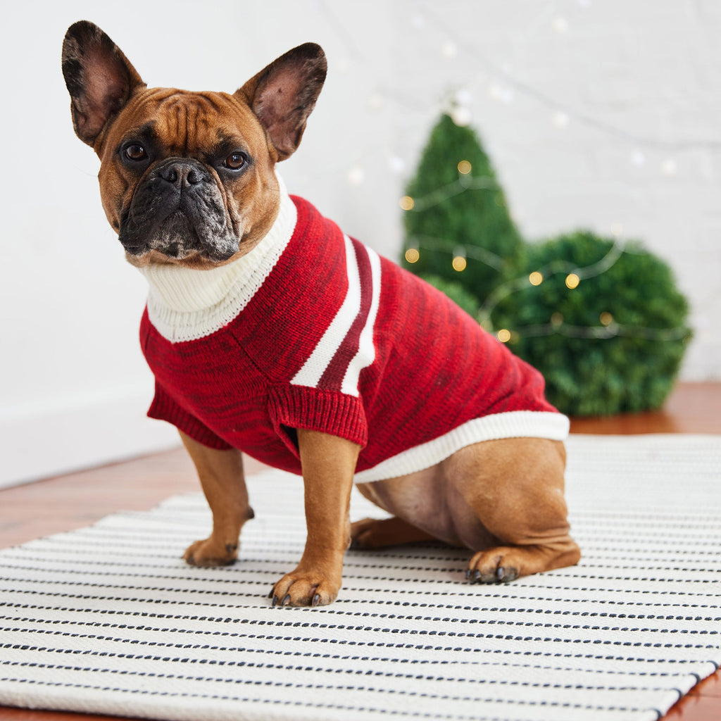 GF PET® Trekking Sweater - Red (Sporty Stripe & Heathered Knit)