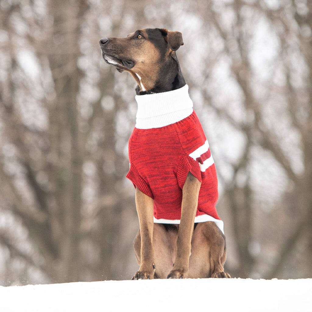 GF PET® Trekking Sweater - Red (Sporty Stripe & Heathered Knit)