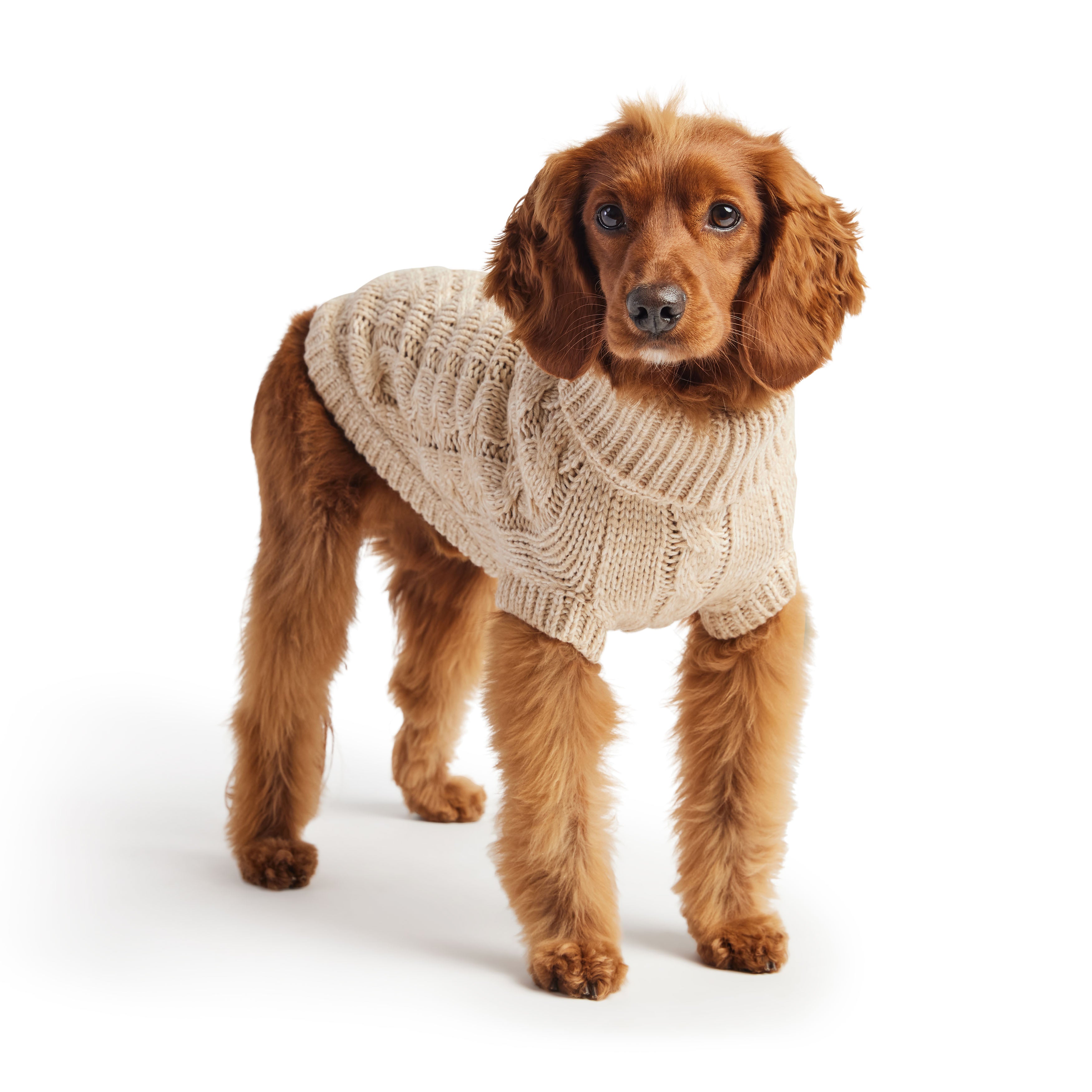 GF PET® Chunky Chalet Sweater - Oatmeal (Timeless Cable Knit Classic)