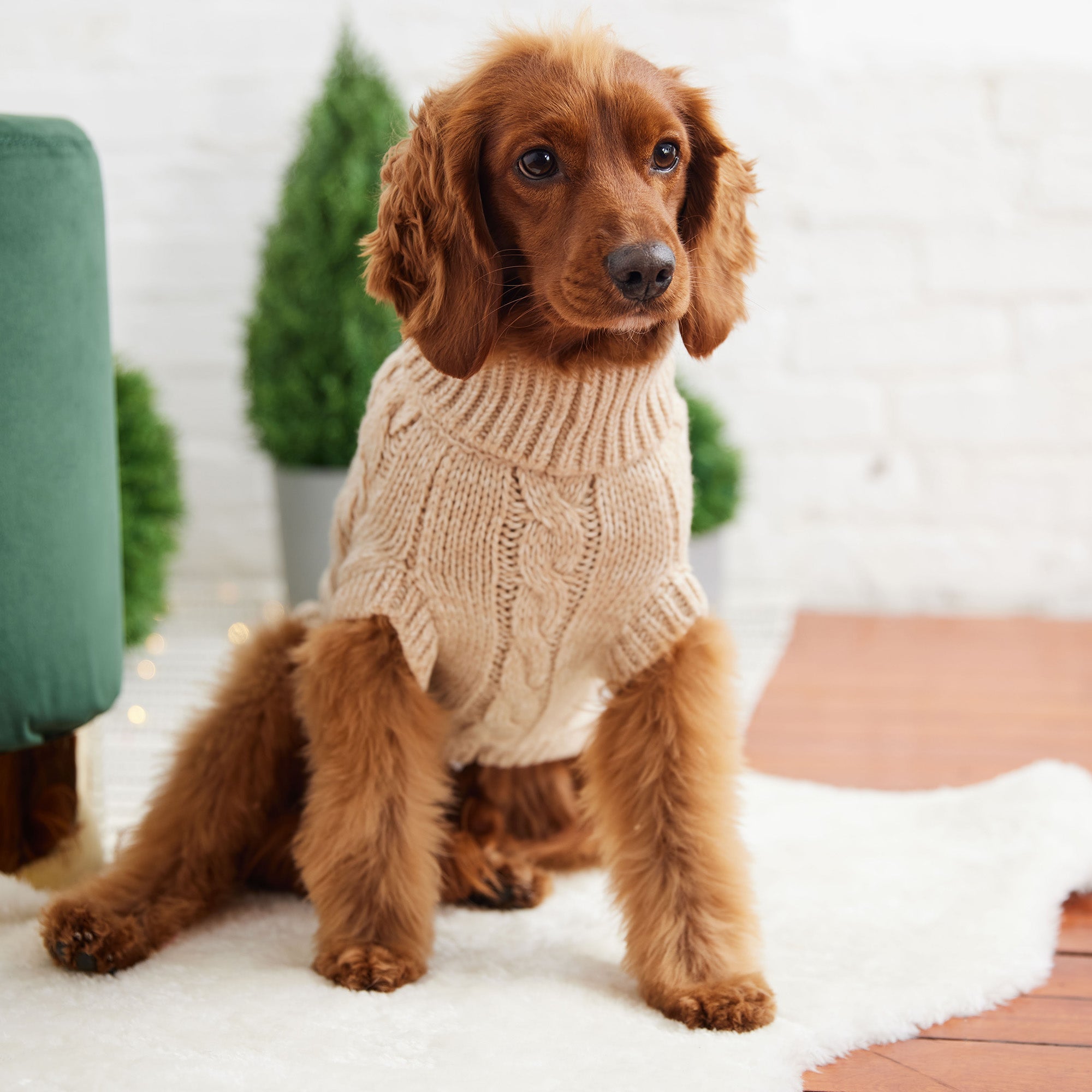 GF PET® Chunky Chalet Sweater - Oatmeal (Timeless Cable Knit Classic)