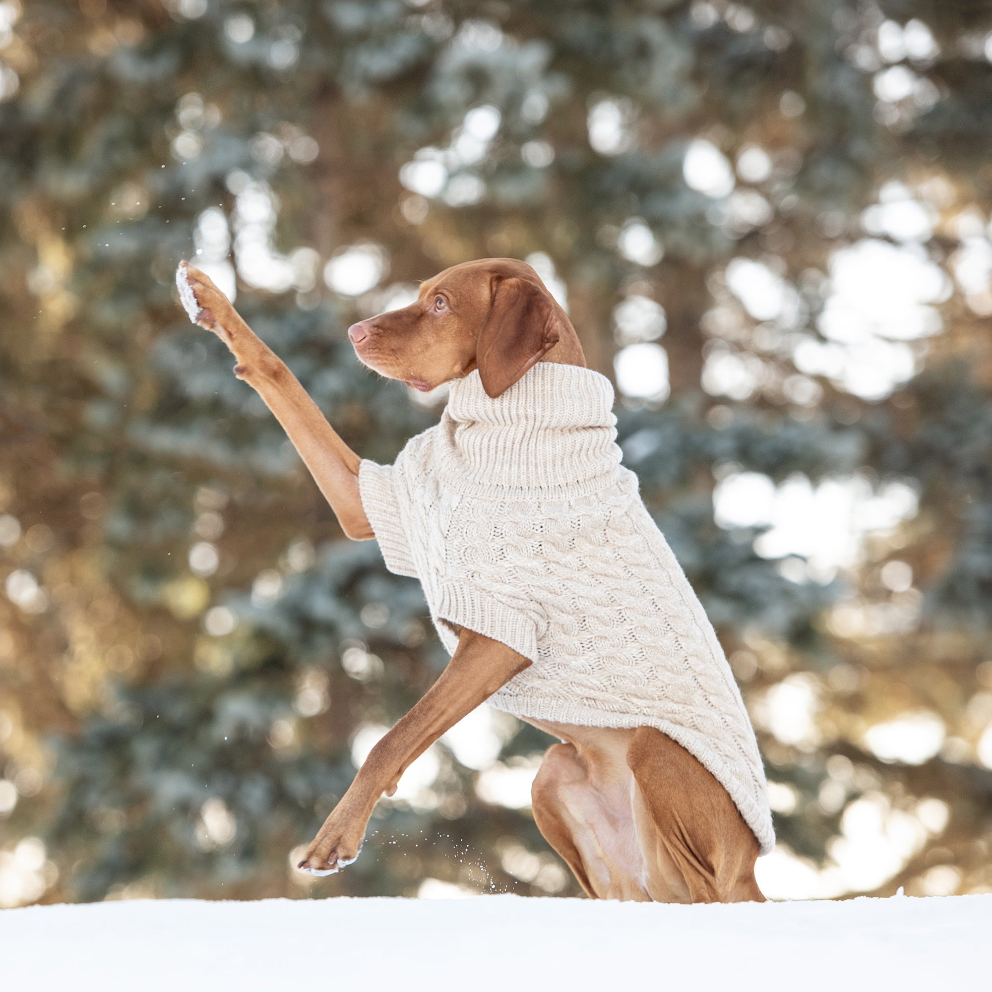 GF PET® Chunky Chalet Sweater - Oatmeal (Timeless Cable Knit Classic)