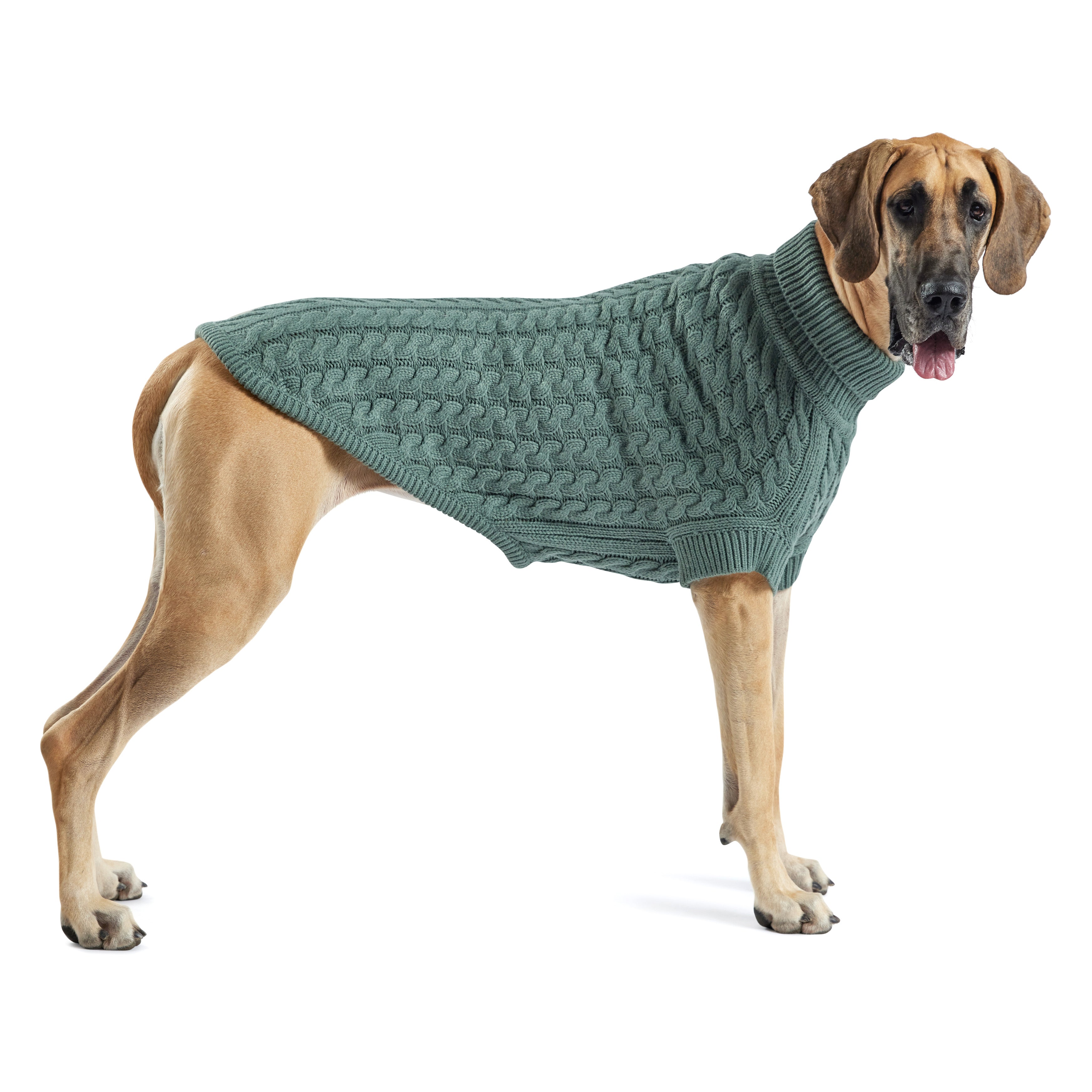 GF PET® Chunky Chalet Sweater - Sage (Premium Earth Tone Knit)