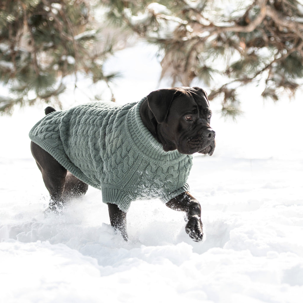 GF PET® Chunky Chalet Sweater - Sage (Premium Earth Tone Knit)