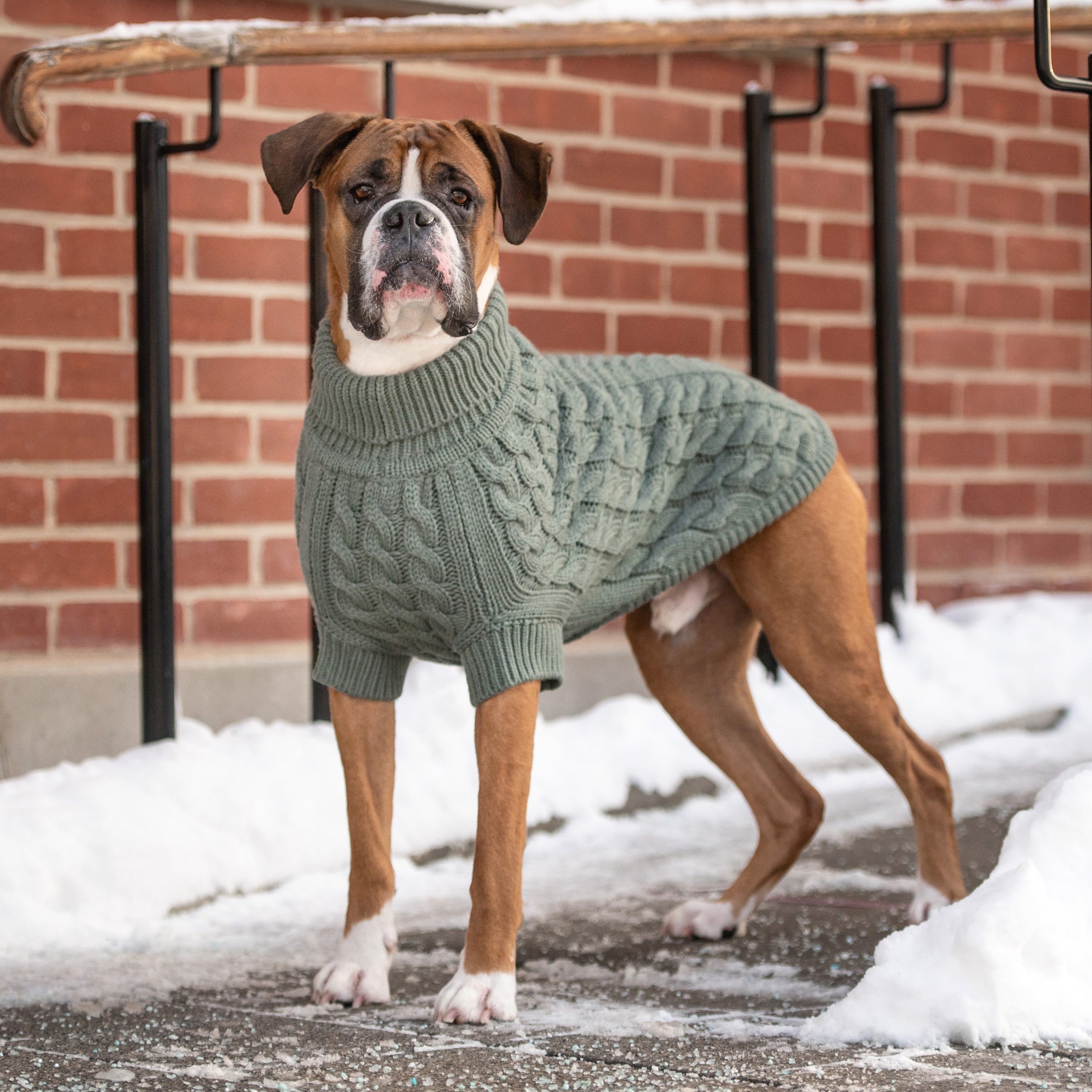 GF PET® Chunky Chalet Sweater - Sage (Premium Earth Tone Knit)