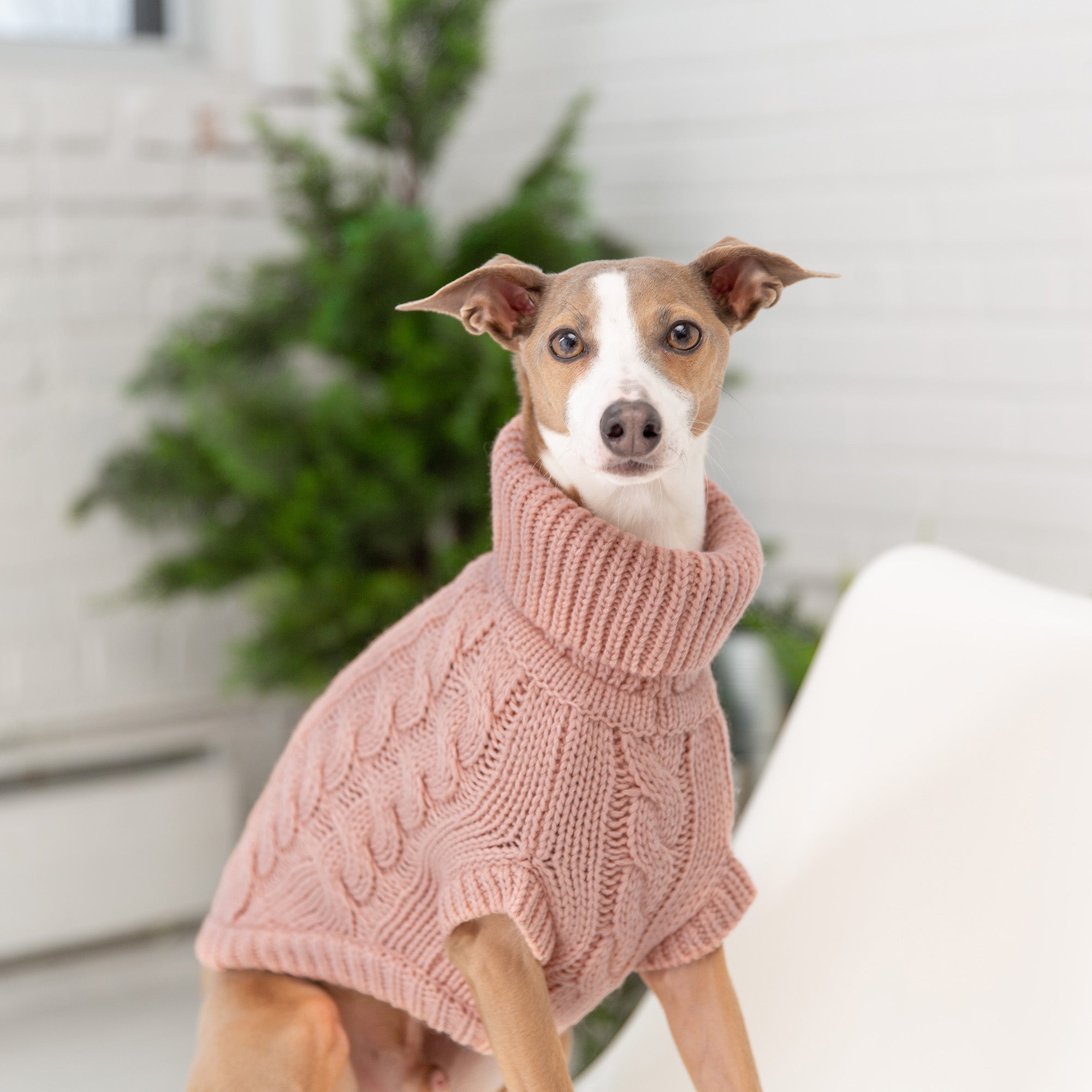 GF PET® Chunky Chalet Sweater - Pink (High Turtleneck & Snuggly Knit)