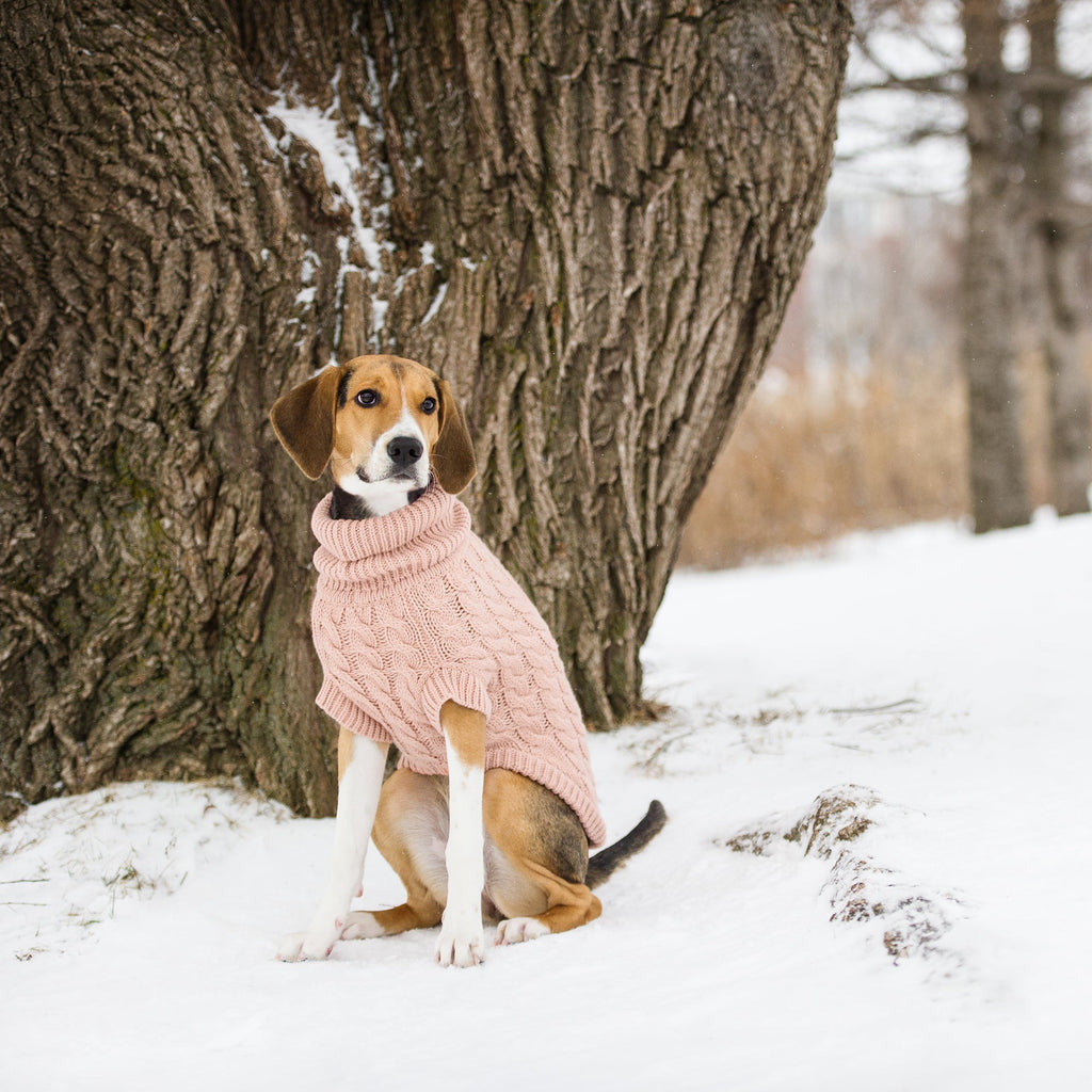 GF PET® Chunky Chalet Sweater - Pink (High Turtleneck & Snuggly Knit)