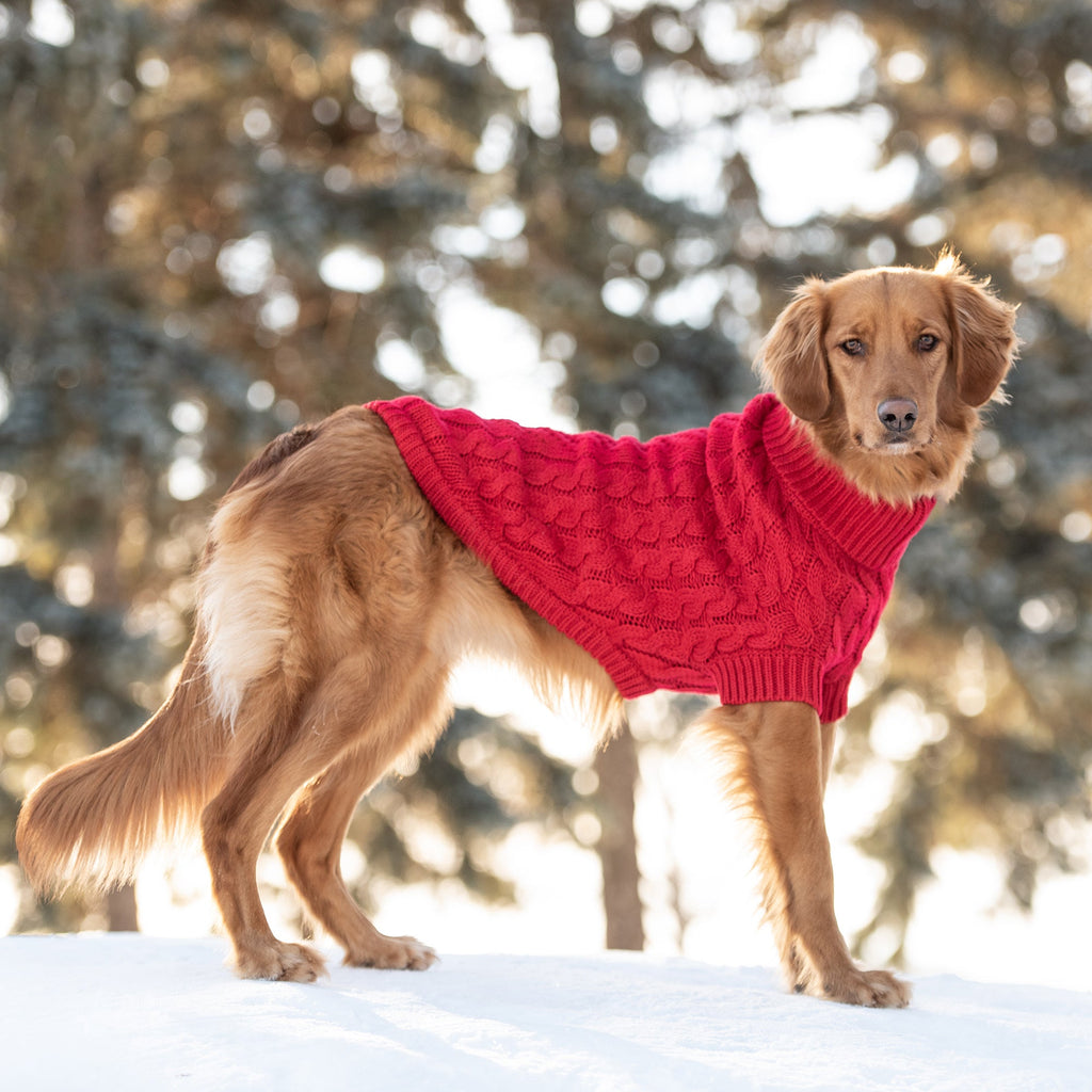 GF PET® Chunky Chalet Sweater - Red (High Turtleneck & Ribbed Design)
