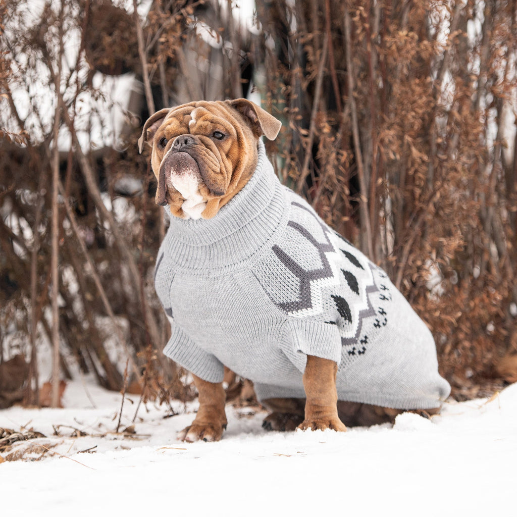 GF PET® Heritage Sweater - Grey Mix (Modern Vintage Native Knit)