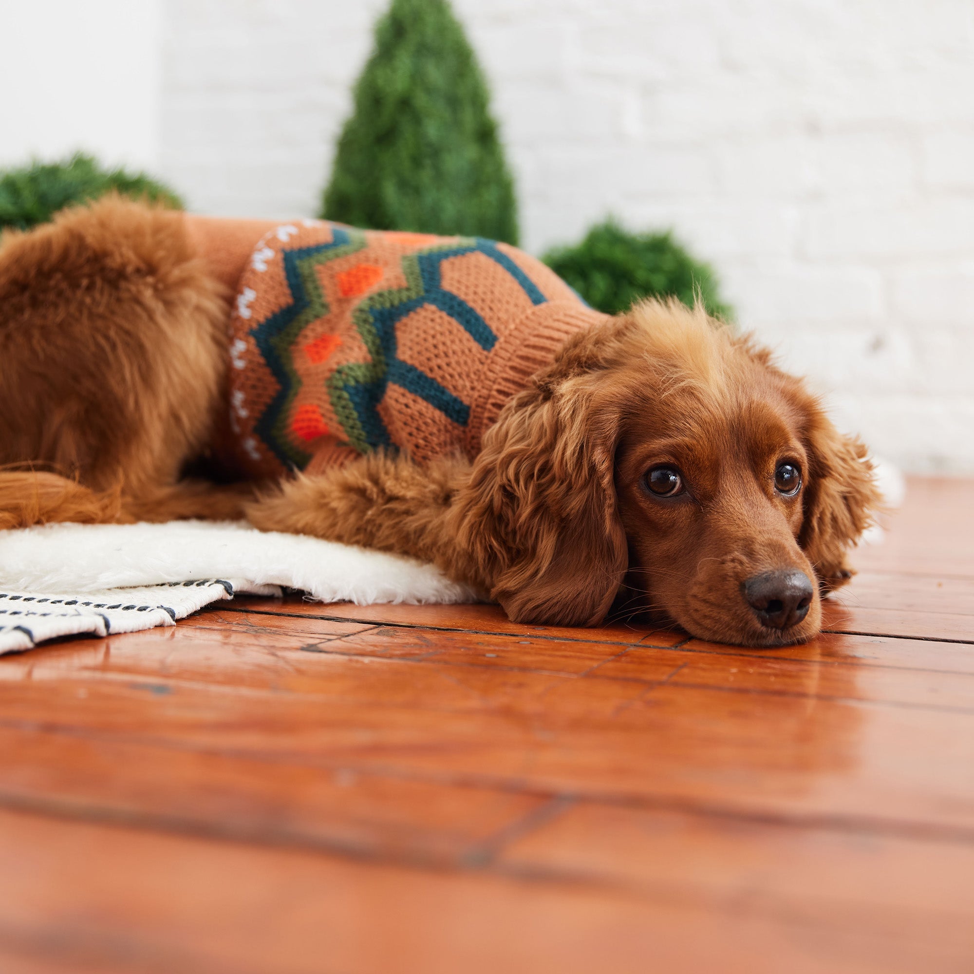 GF PET® Heritage Sweater - Hazel (Vintage Native-Inspired Knit)