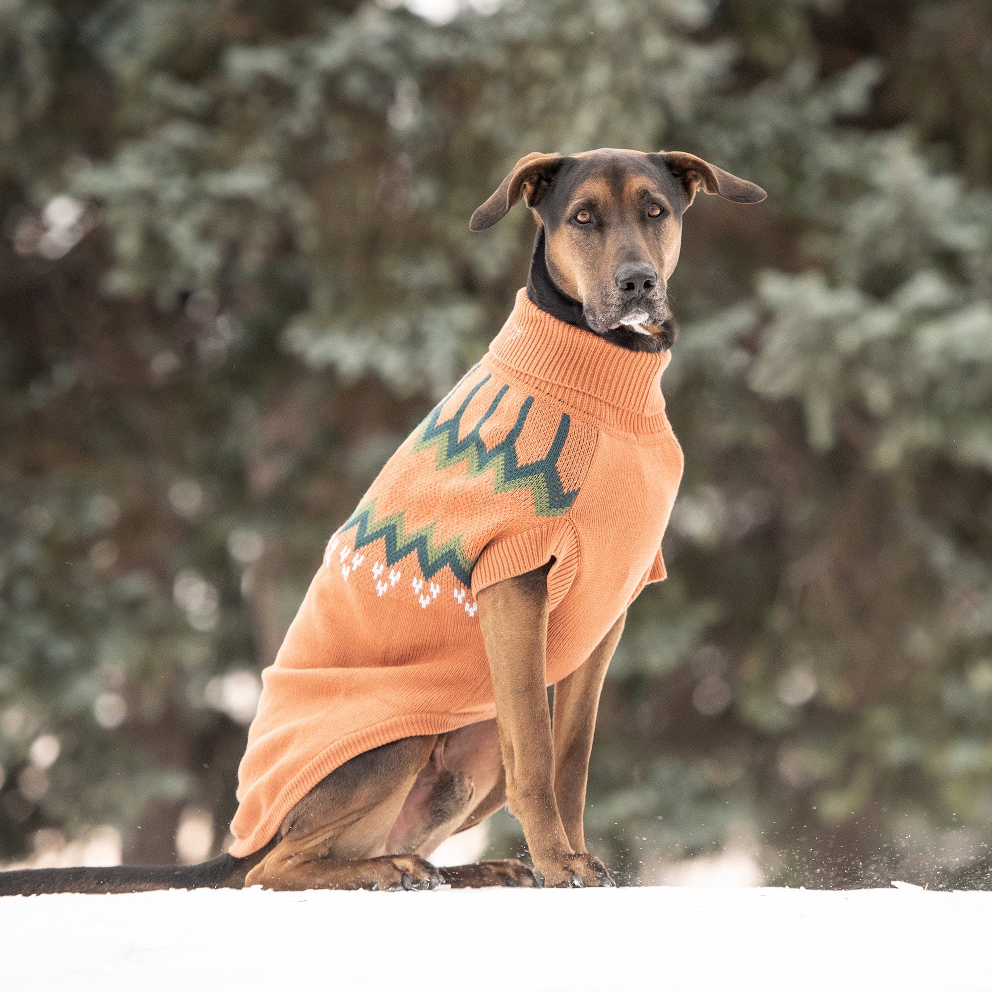 GF PET® Heritage Sweater - Hazel (Vintage Native-Inspired Knit)
