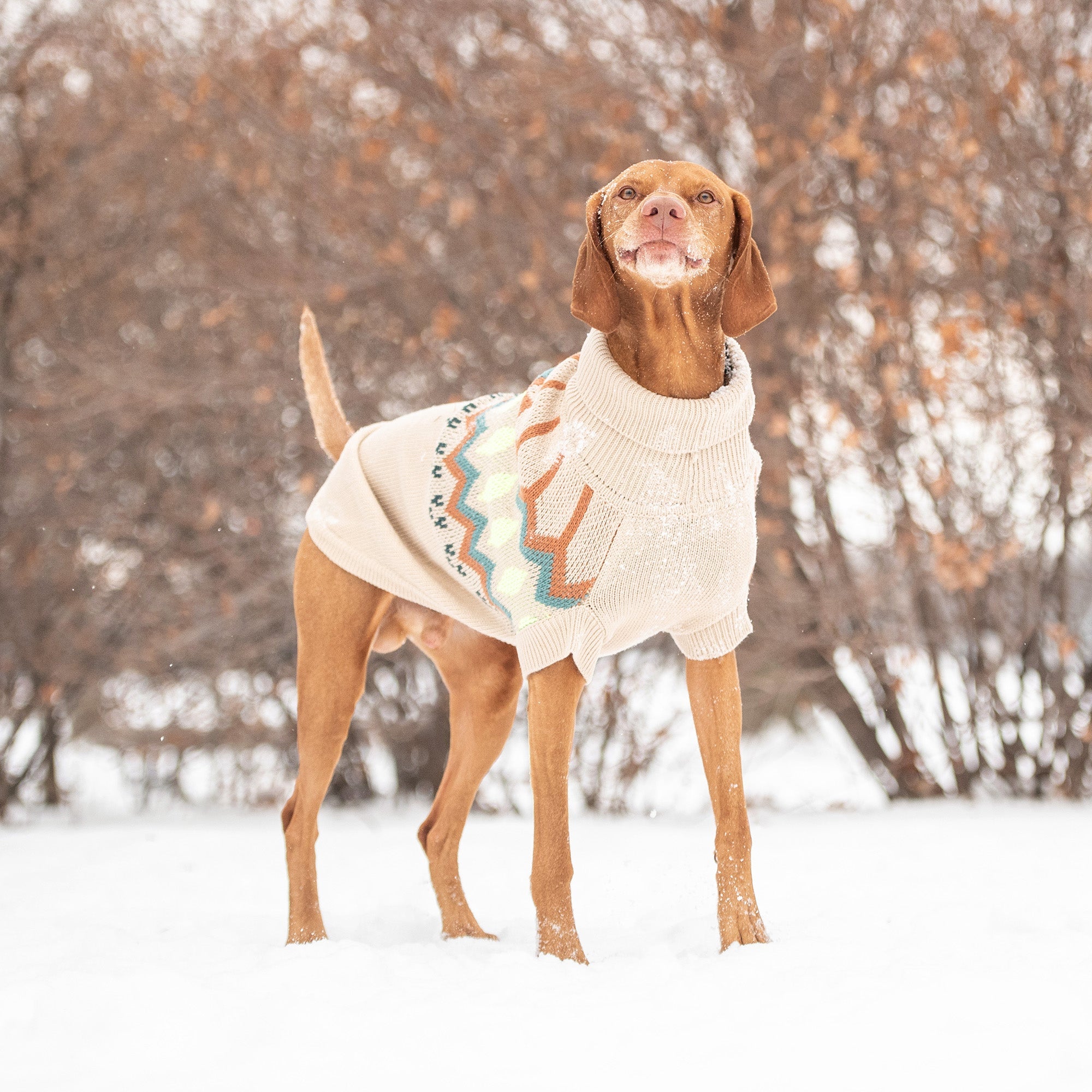 GF PET® Heritage Sweater - Sand (Vintage Native-Inspired Knit)