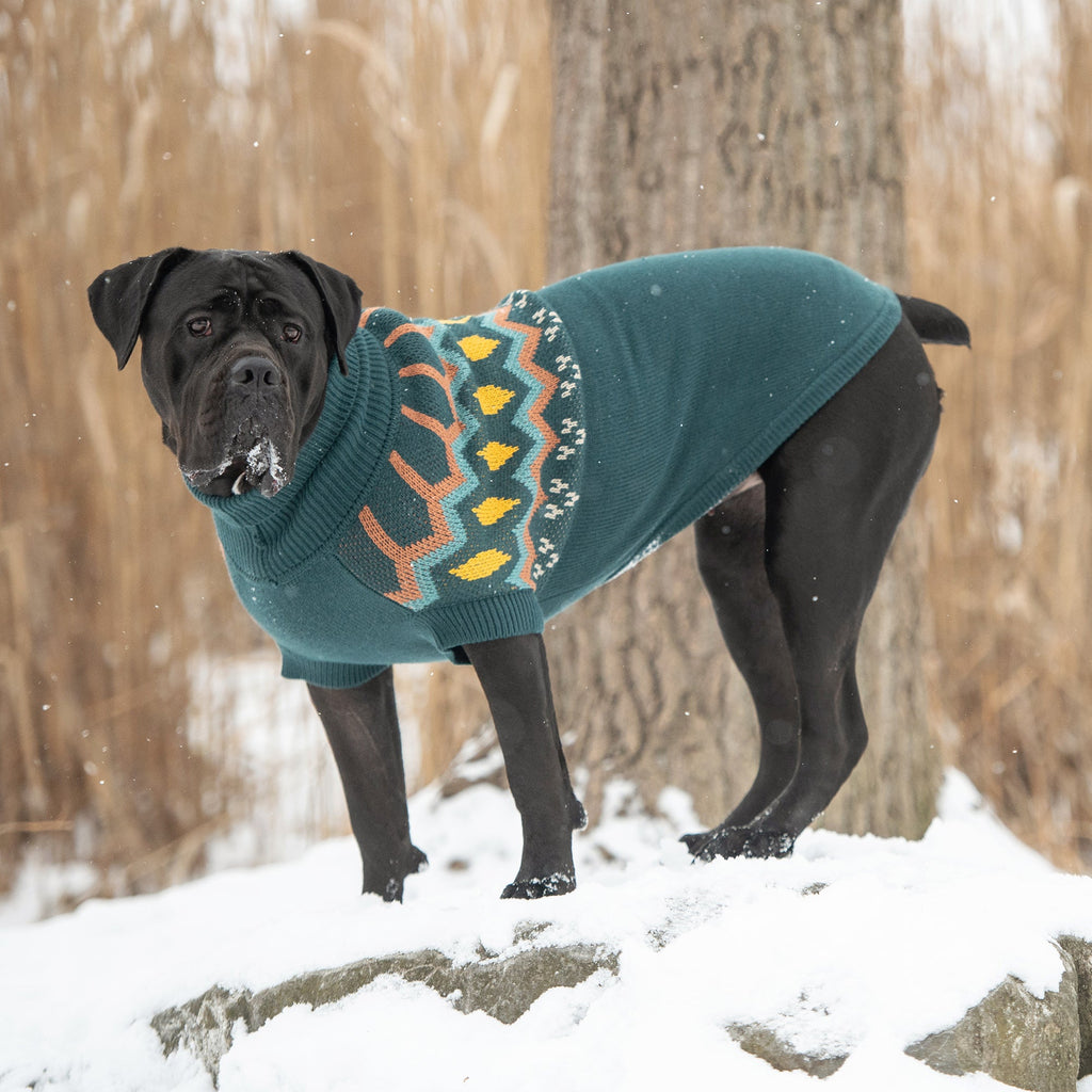 GF PET® Heritage Sweater - Teal (Vintage Native-Inspired Knit)