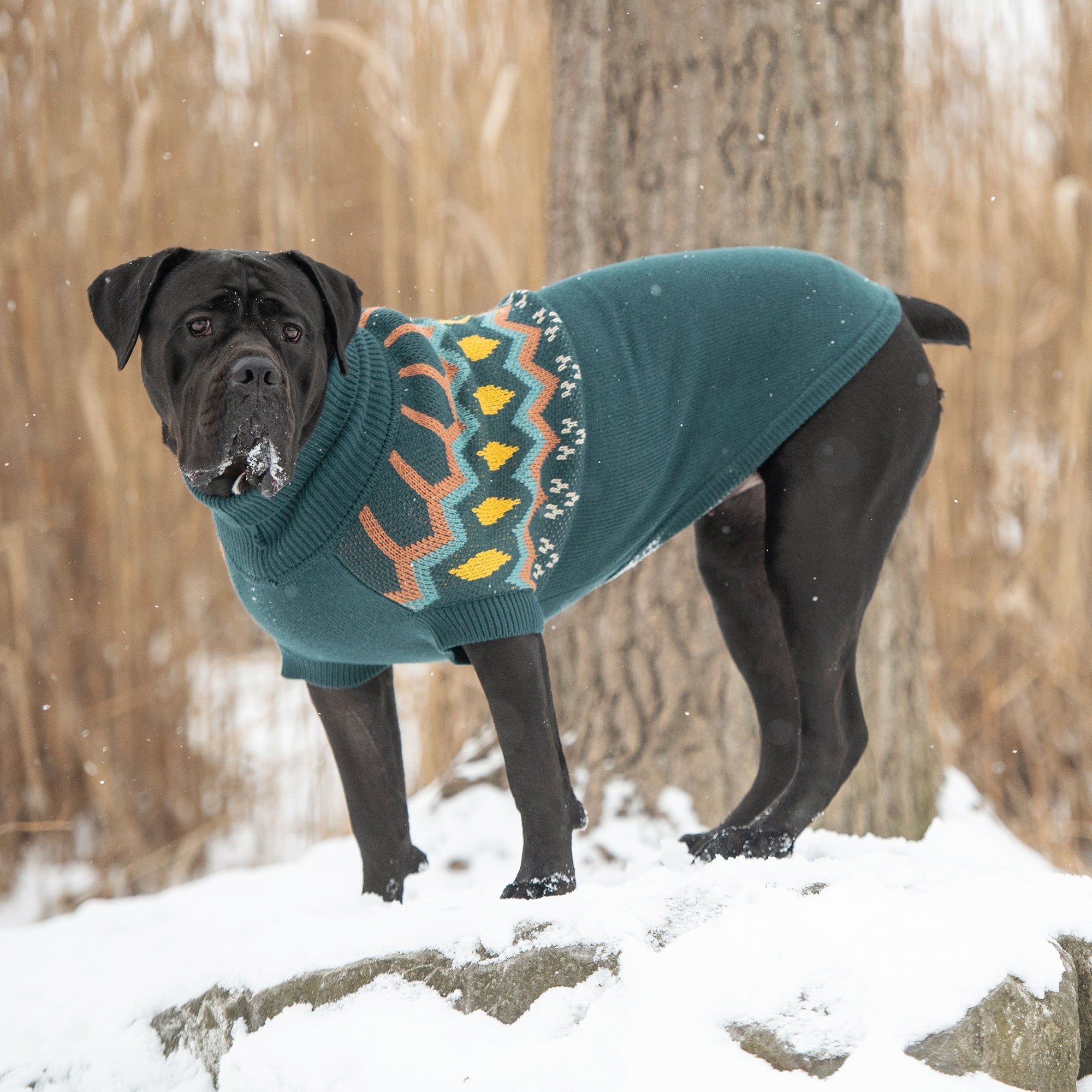 GF PET® Heritage Sweater - Teal (Vintage Native-Inspired Knit)