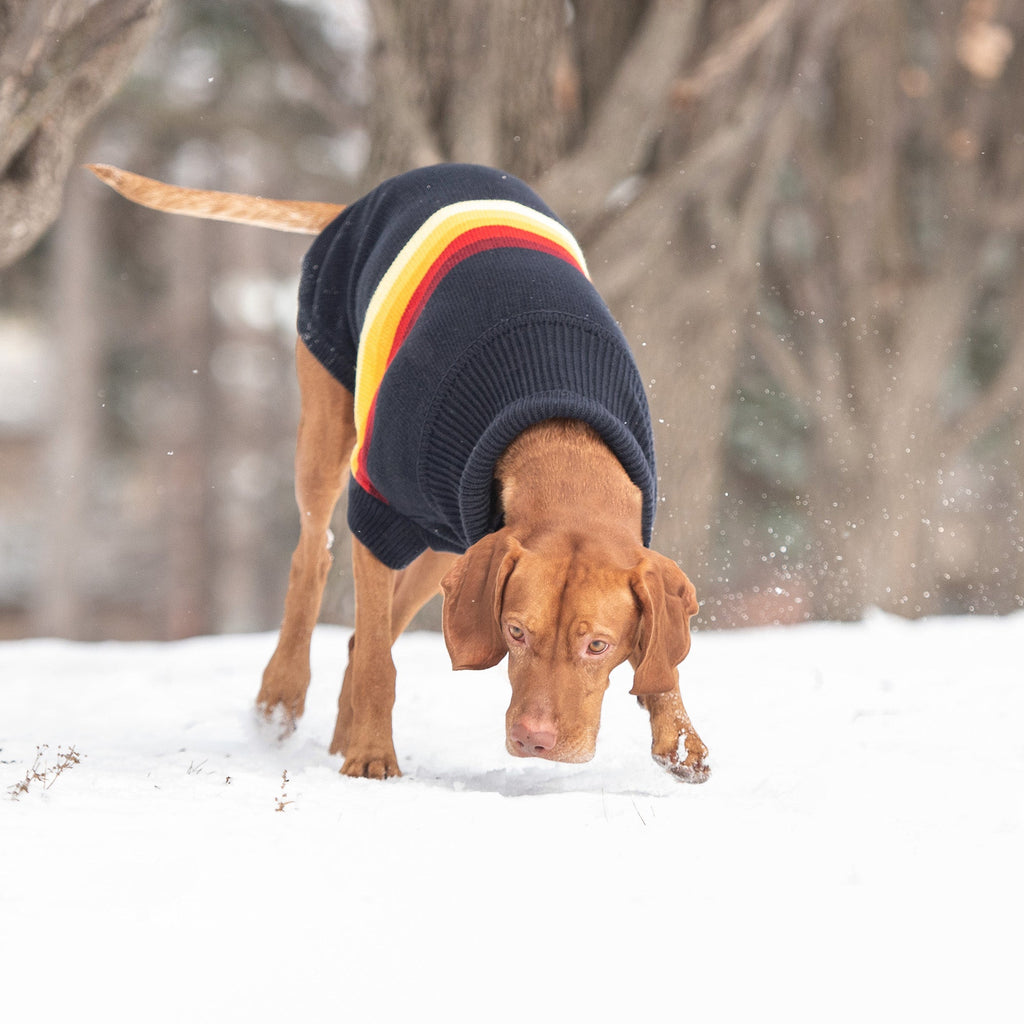 GF PET® Retro Sweater - Navy (Bold Multi-Color Geometric Knit)
