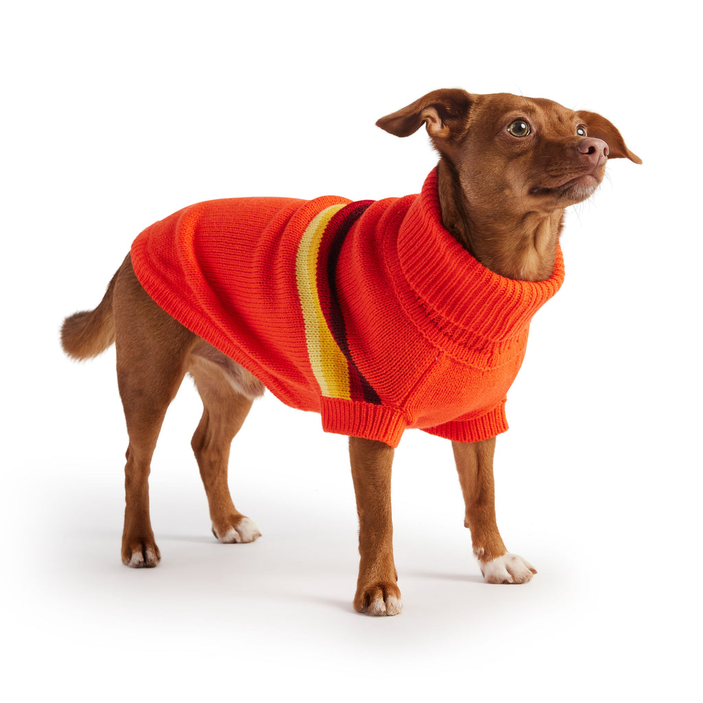 GF PET® Retro Sweater - Orange (Vibrant Geometric Knit & Sculpted Turtleneck)