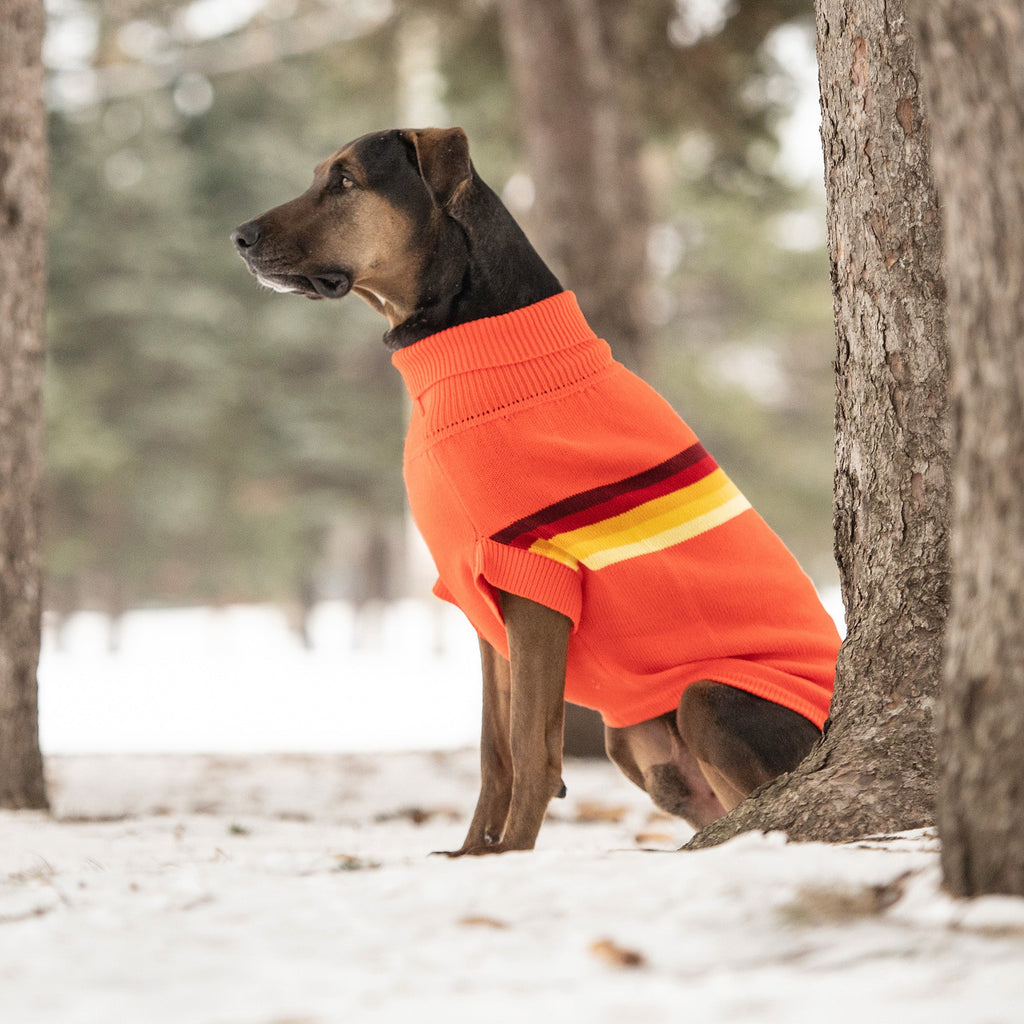 GF PET® Retro Sweater - Orange (Vibrant Geometric Knit & Sculpted Turtleneck)