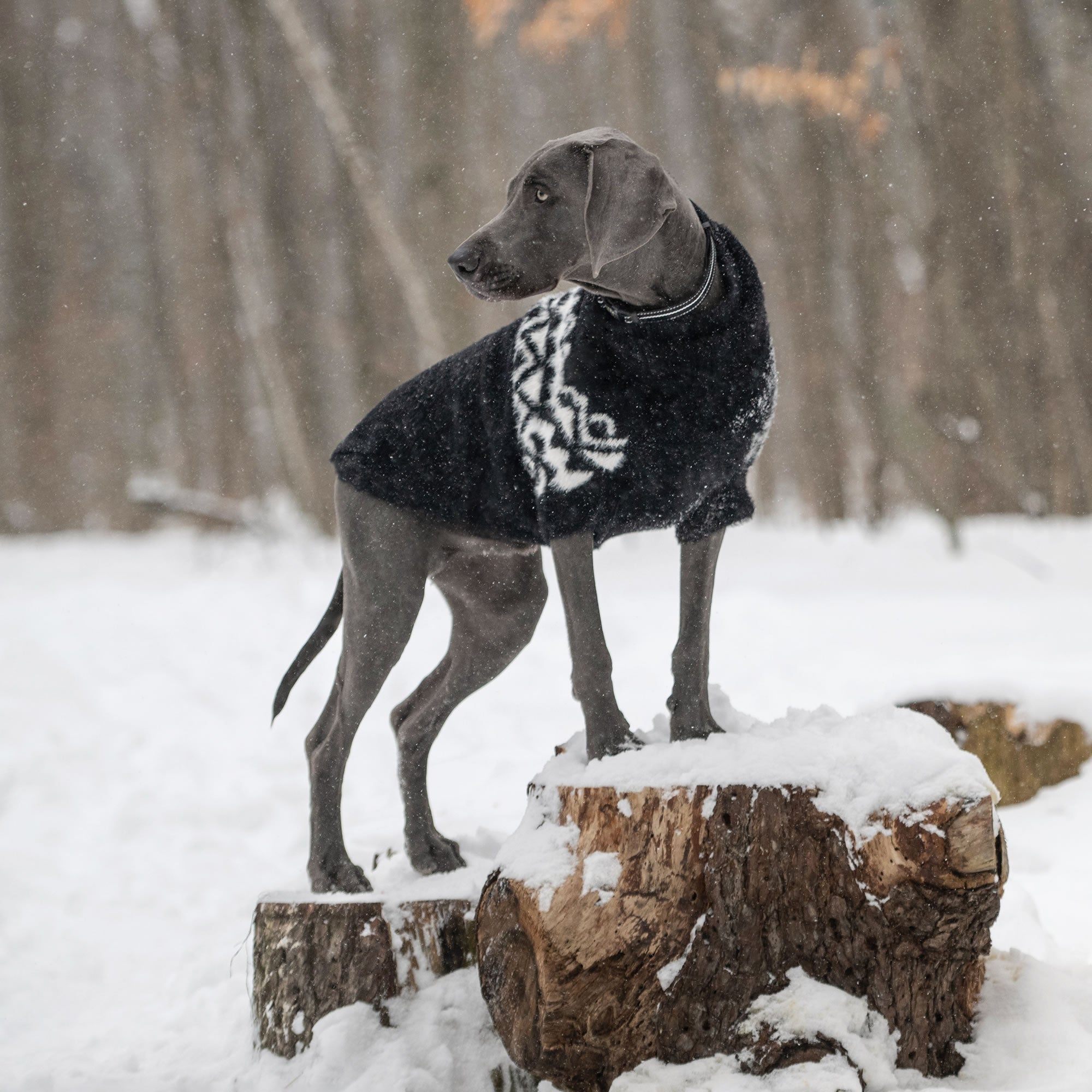 GF PET® Fuzzy Dog Sweater (Exquisite Feathery Knit & Sculpted Fit)
