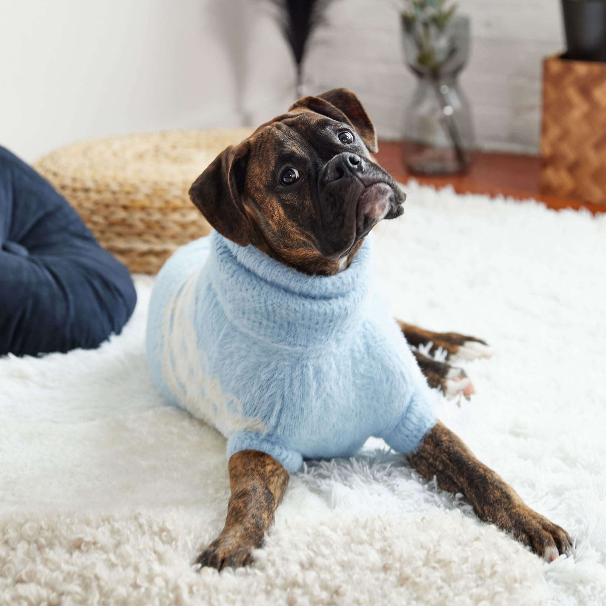GF PET® Fuzzy Dog Sweater (Exquisite Feathery Knit & Sculpted Fit)