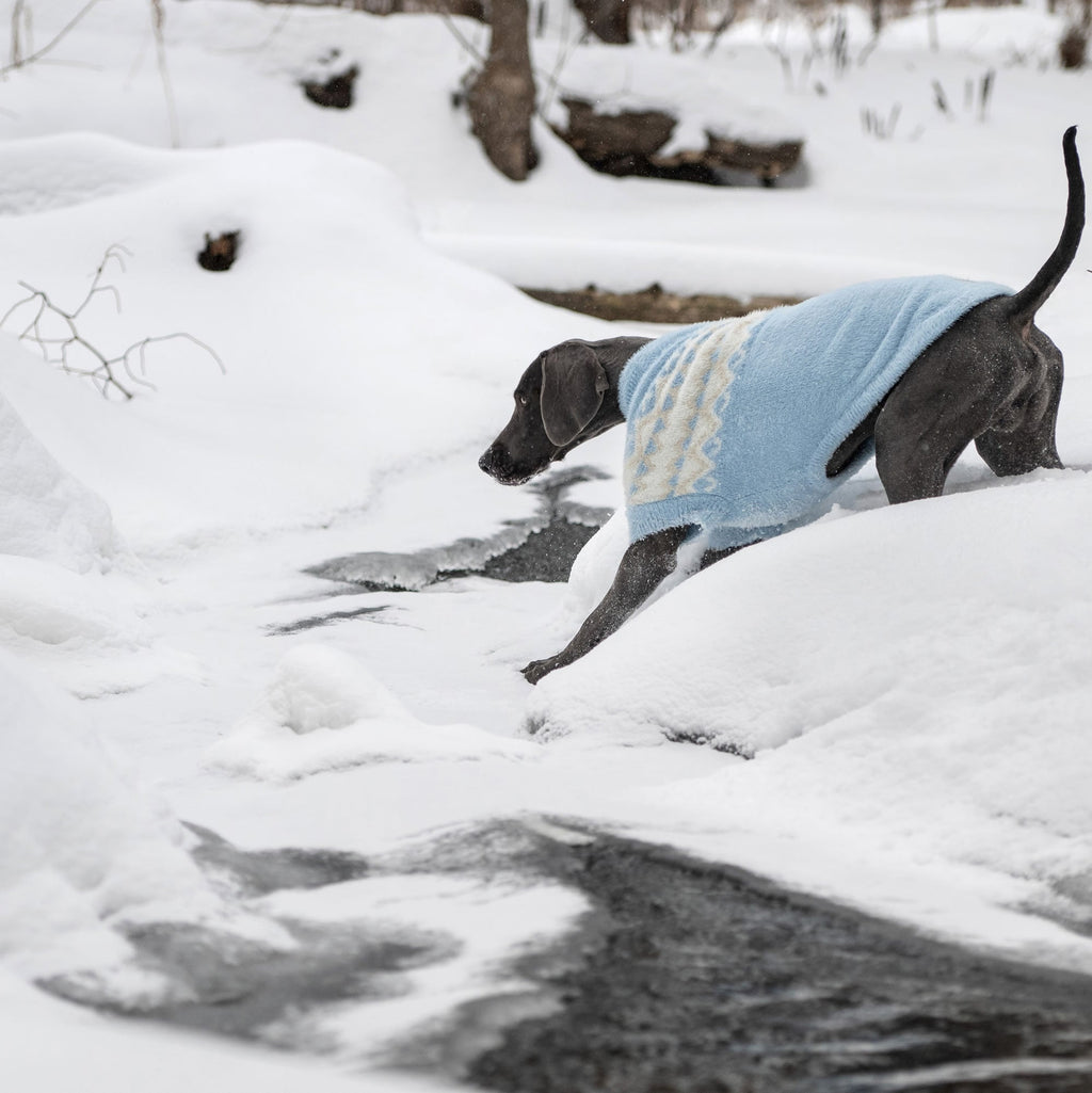GF PET® Fuzzy Dog Sweater (Exquisite Feathery Knit & Sculpted Fit)