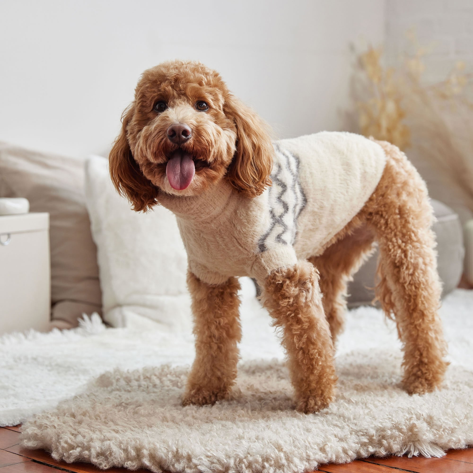 GF PET® Fuzzy Dog Sweater (Exquisite Feathery Knit & Sculpted Fit)