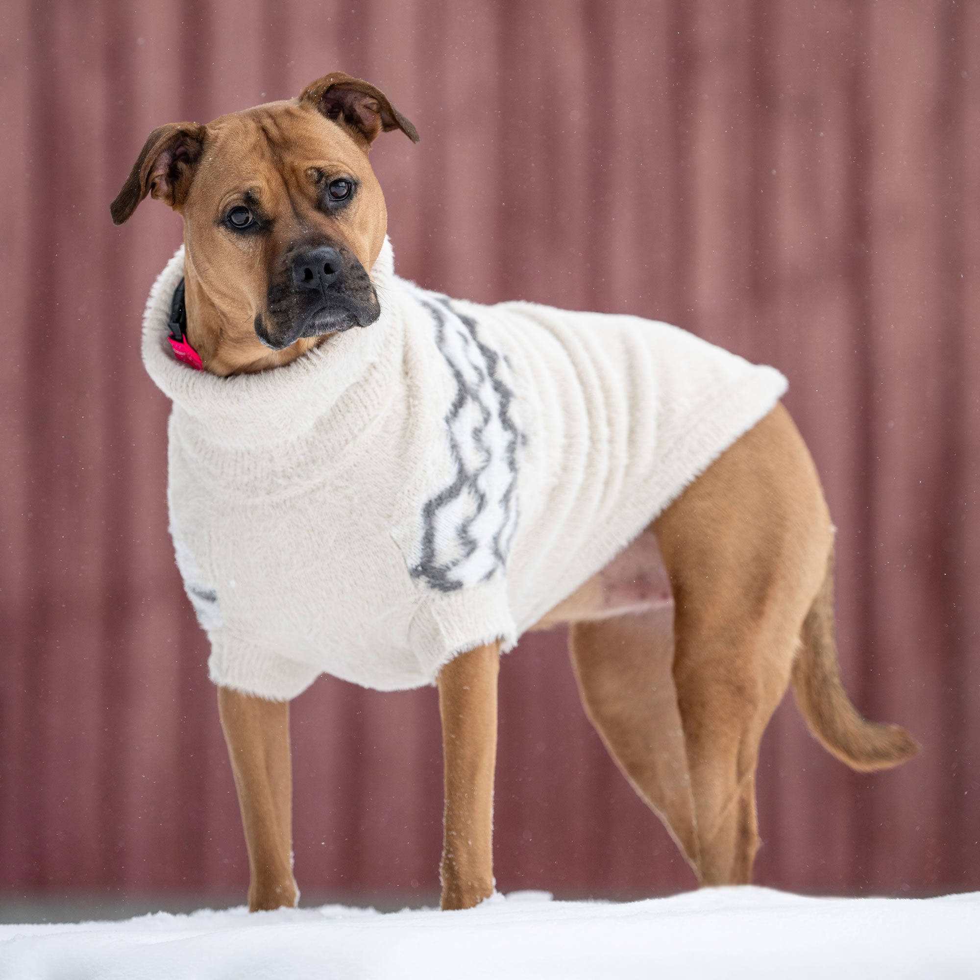 GF PET® Fuzzy Dog Sweater (Exquisite Feathery Knit & Sculpted Fit)