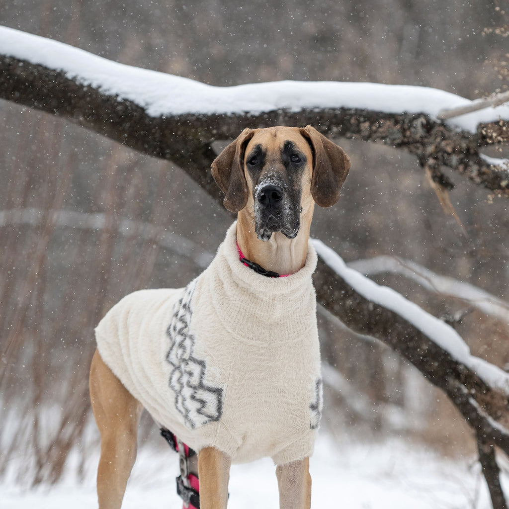 GF PET® Fuzzy Dog Sweater (Exquisite Feathery Knit & Sculpted Fit)