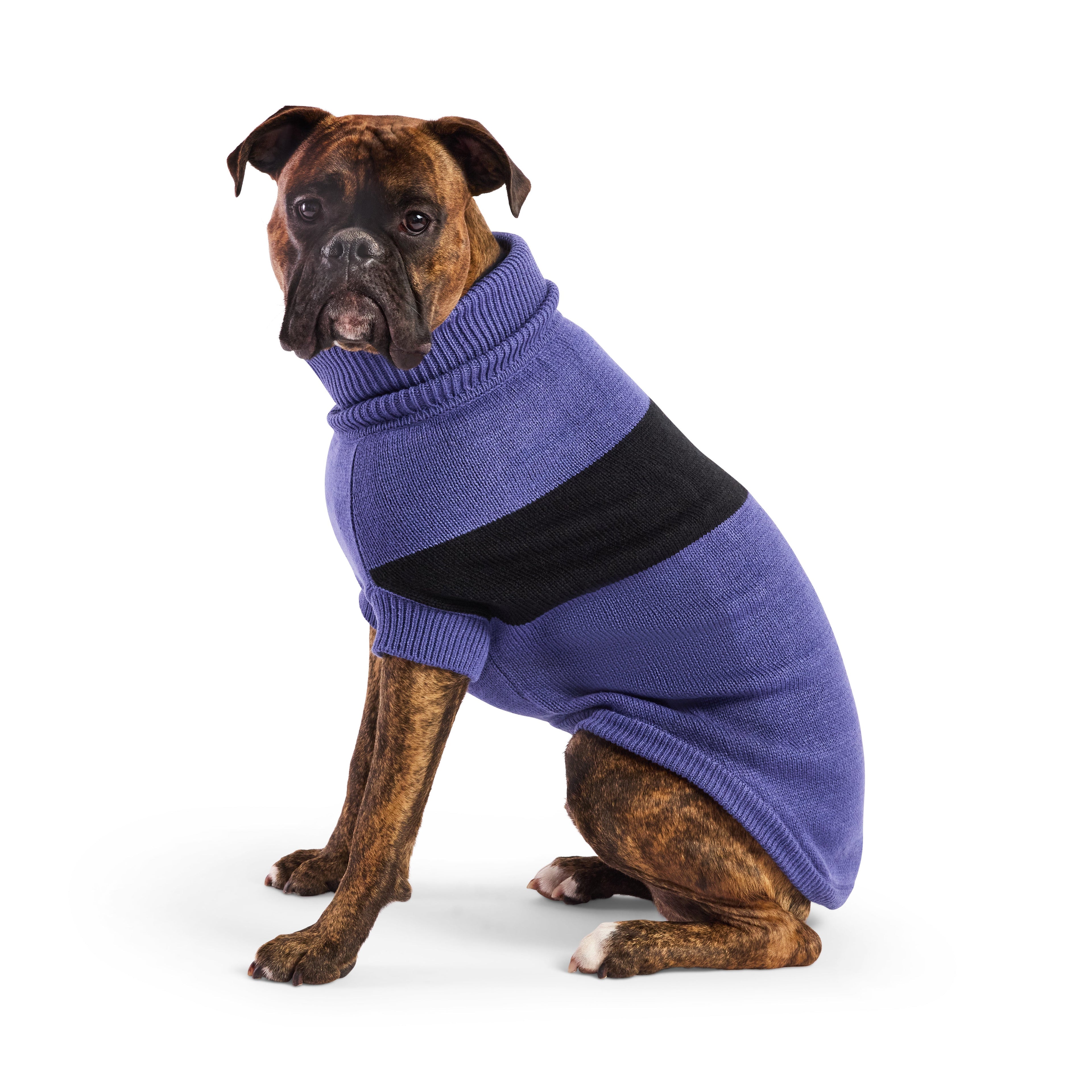 GF PET® Black Label Catalyst Sweater (Modern Colorblock Knit)