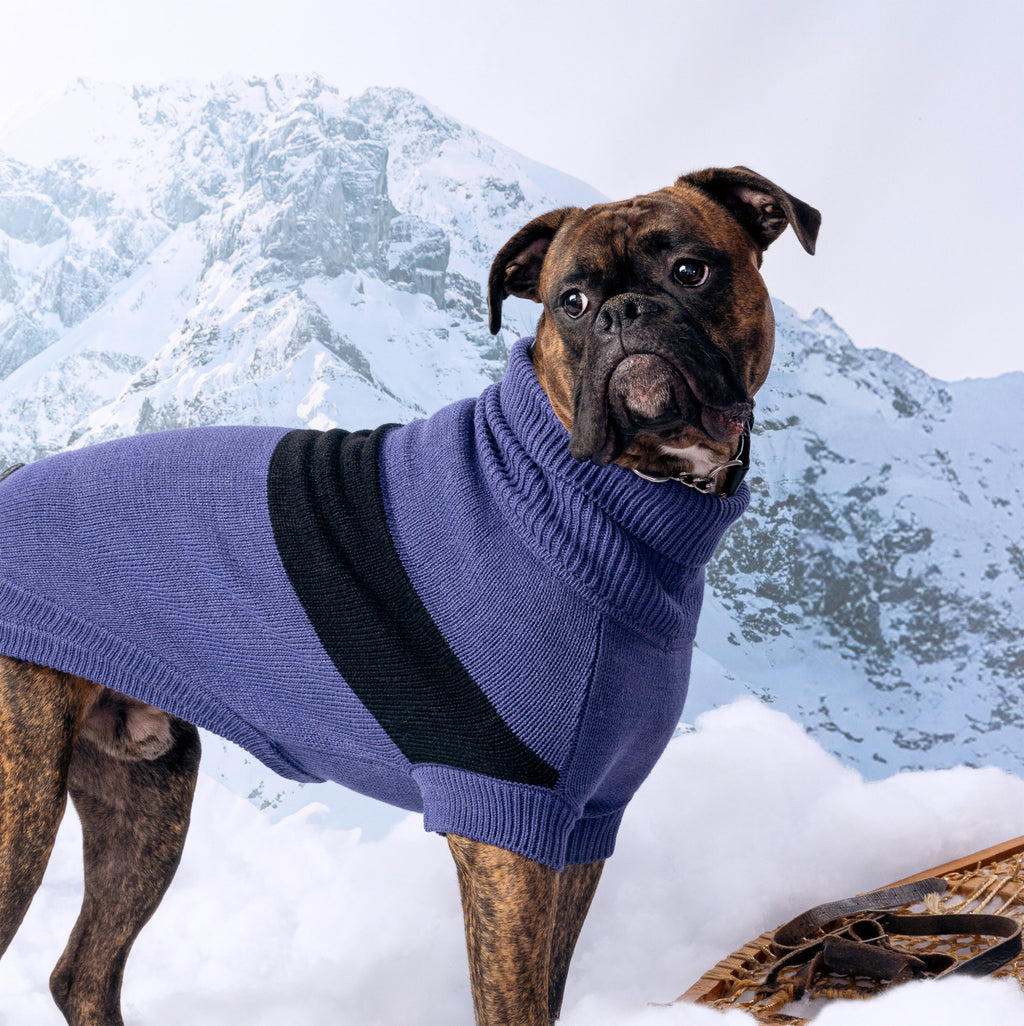GF PET® Black Label Catalyst Sweater (Modern Colorblock Knit)