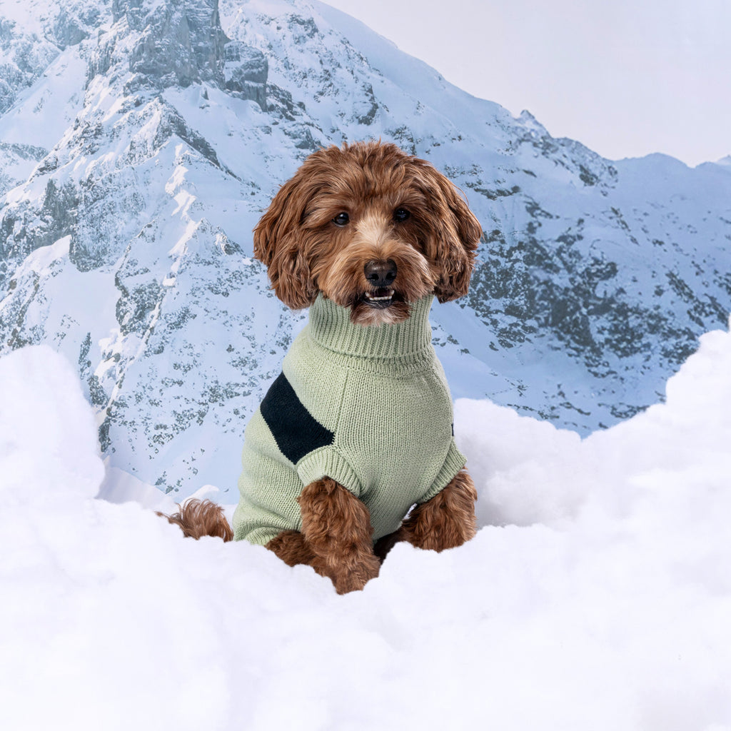 GF PET® Black Label Catalyst Sweater (Modern Colorblock Knit)