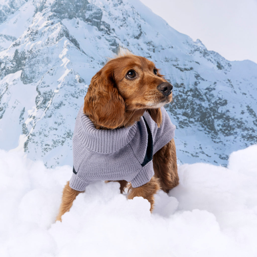 GF PET® Black Label Catalyst Sweater (Modern Colorblock Knit)