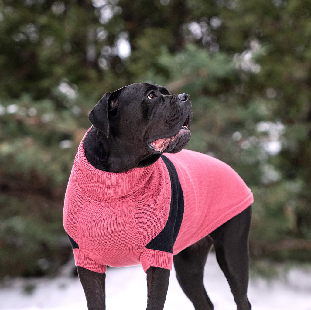 GF PET® Black Label Catalyst Sweater (Modern Colorblock Knit)