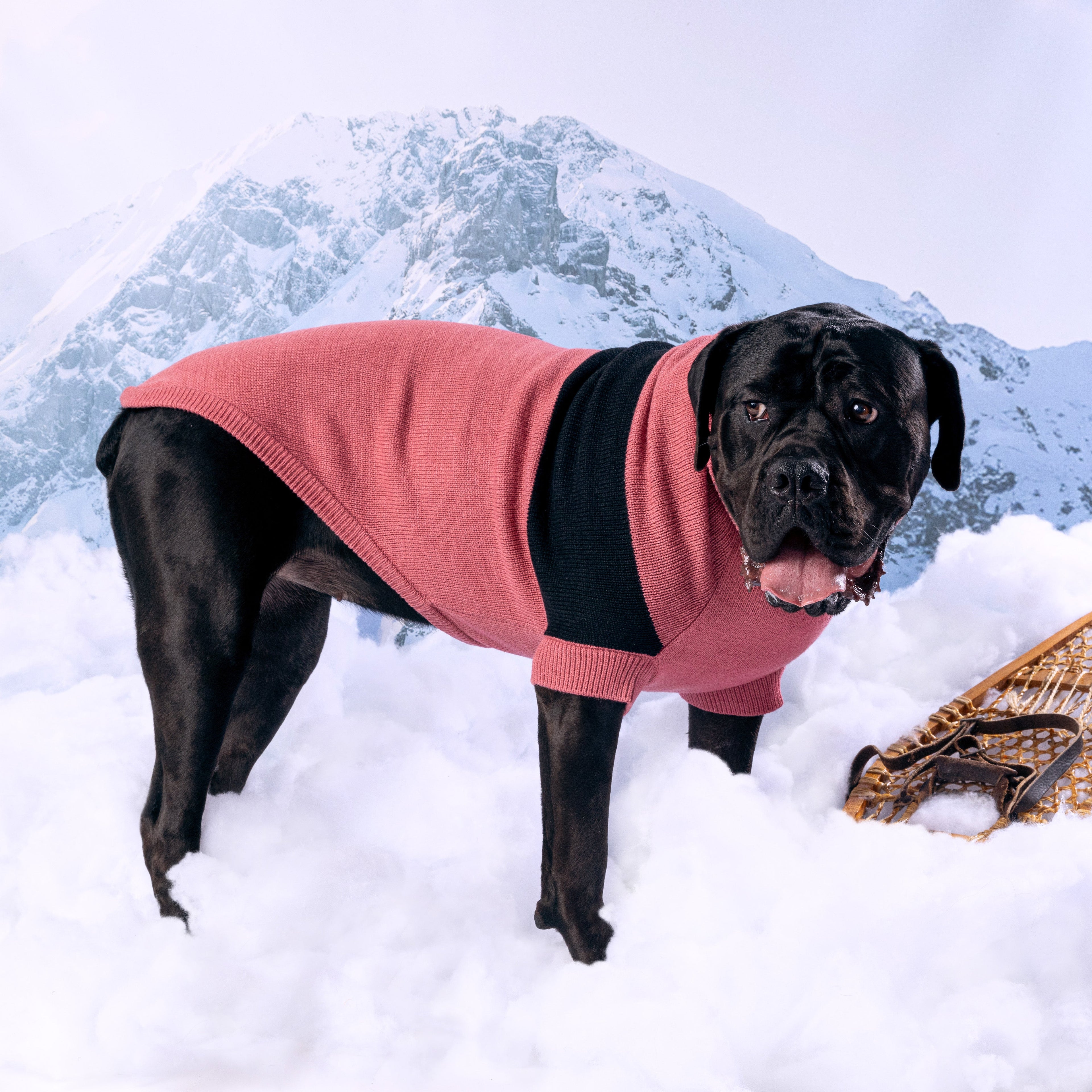 GF PET® Black Label Catalyst Sweater (Modern Colorblock Knit)