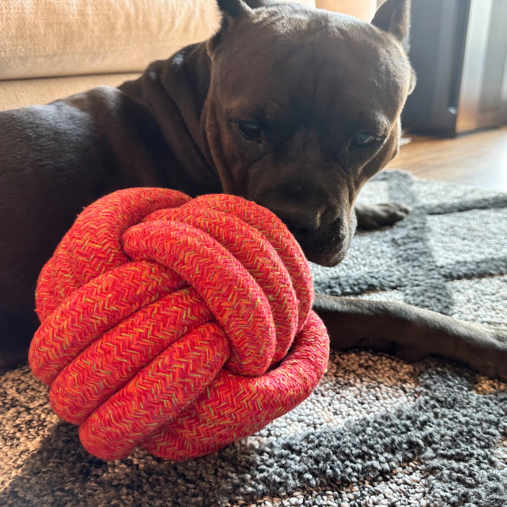 Boutique Big Paw Jumbo Rope Ball Toy - Sunshine Red Collection - Big Dog