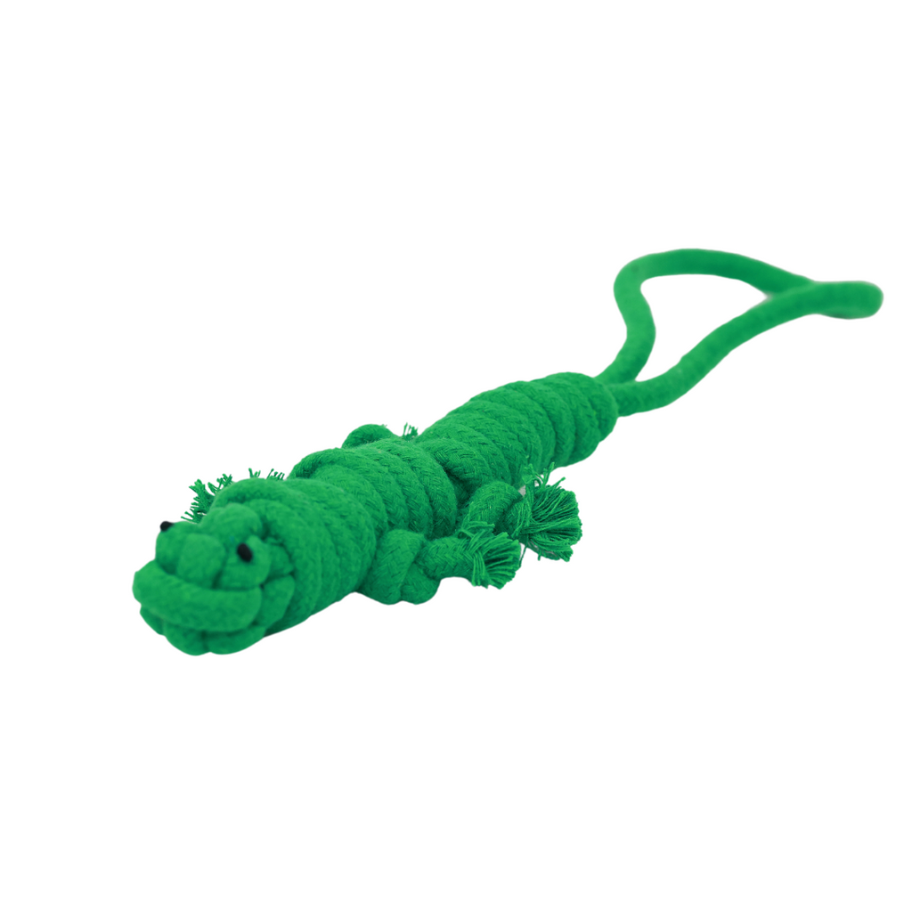 Owen the Green Lizard Rope Toy | Lightweight & Eco-Conscious - Small Dog
