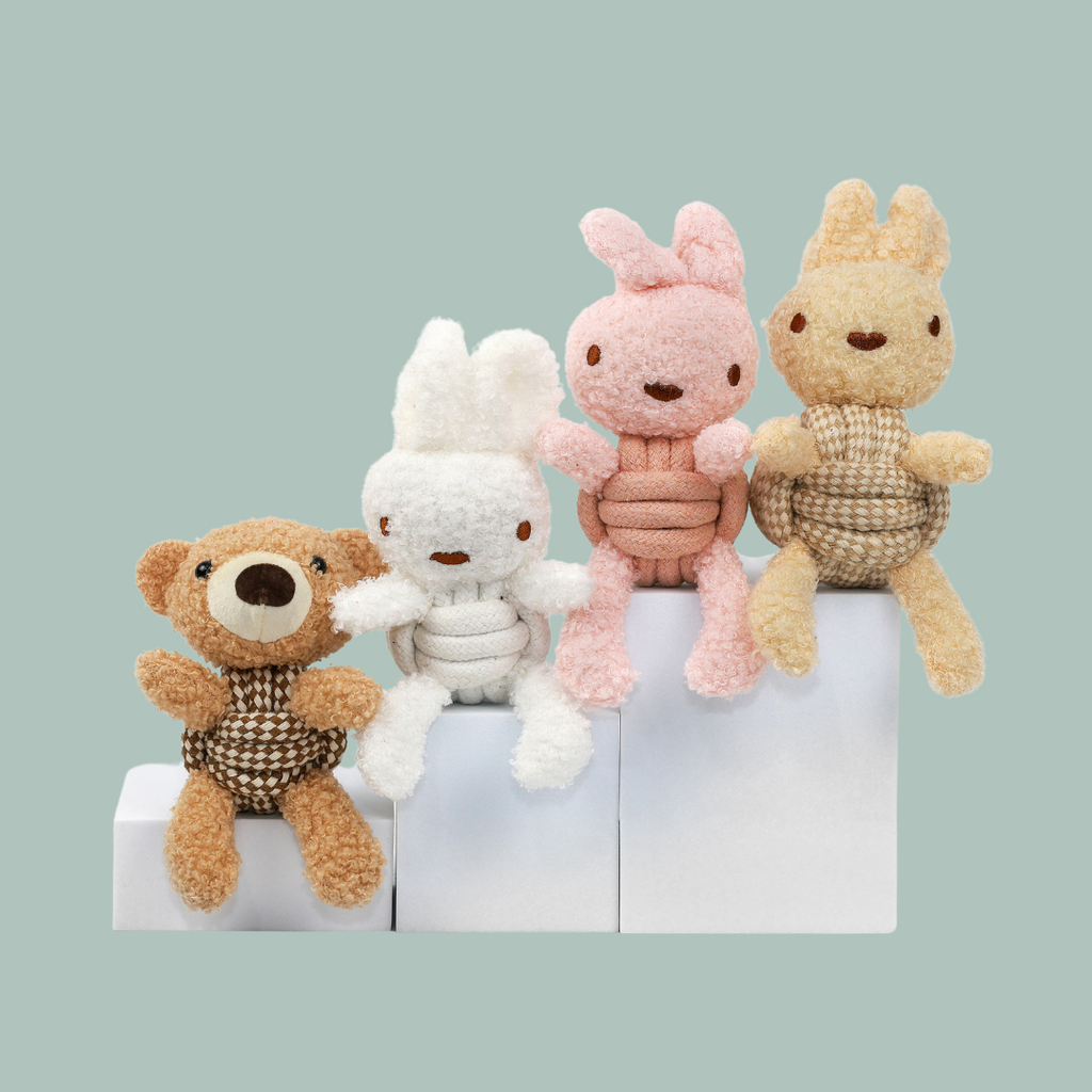 Squeaky Rope Buddies | Plush & Rope Interactive Toy - Small to Medium Dog