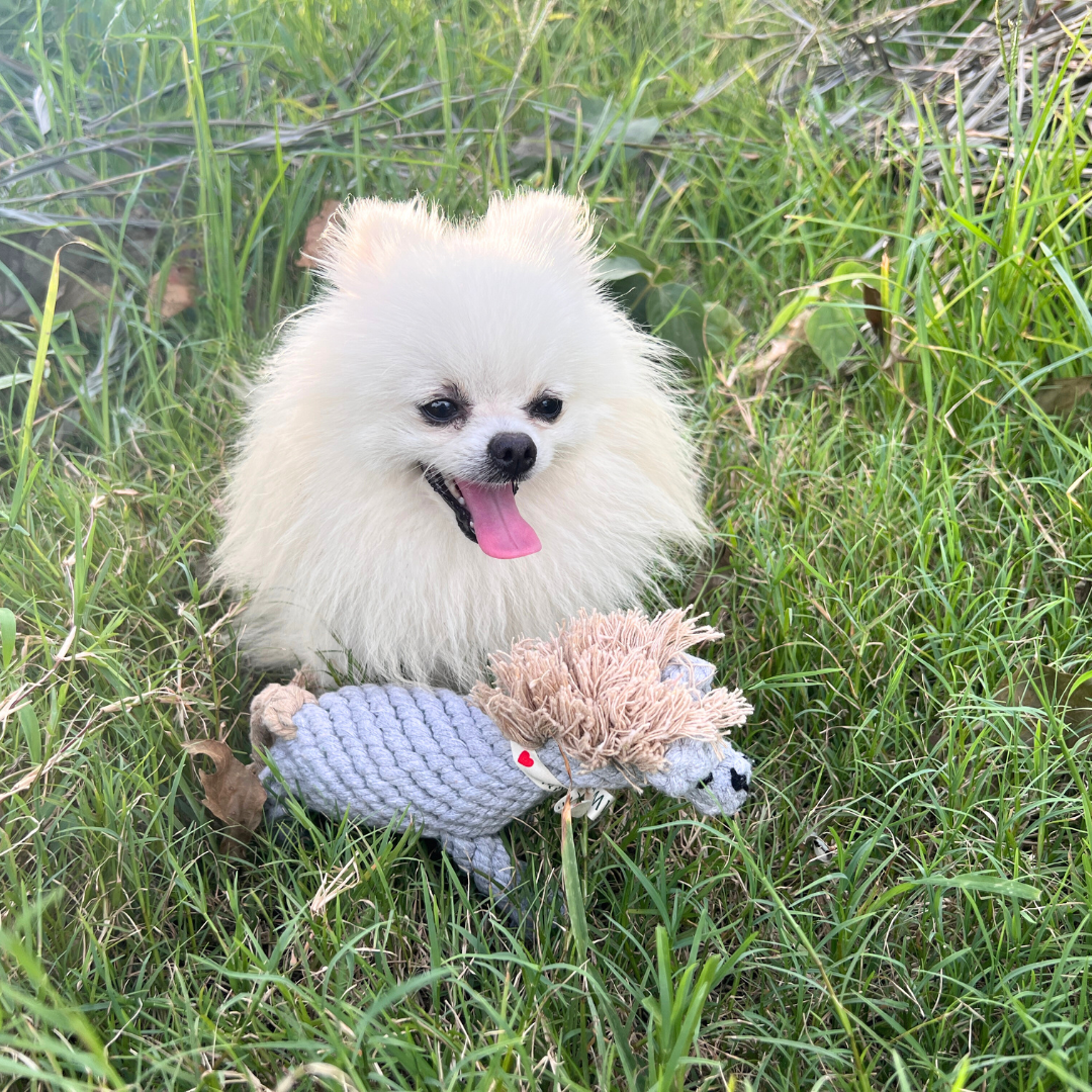 Serene the Gray Horse Rope Toy-2