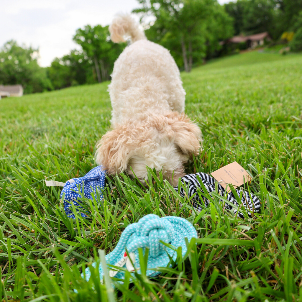 Iconic Slipper Rope Toys | Timeless Classic & Durable Tug Toy - Small to Medium Dog