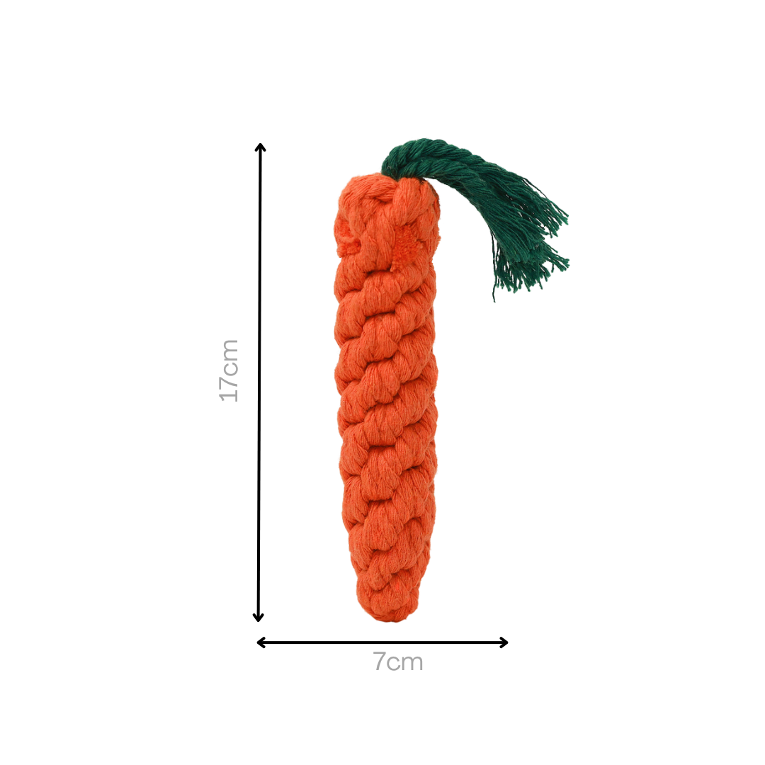 Knotty Large Orange Carrot-3