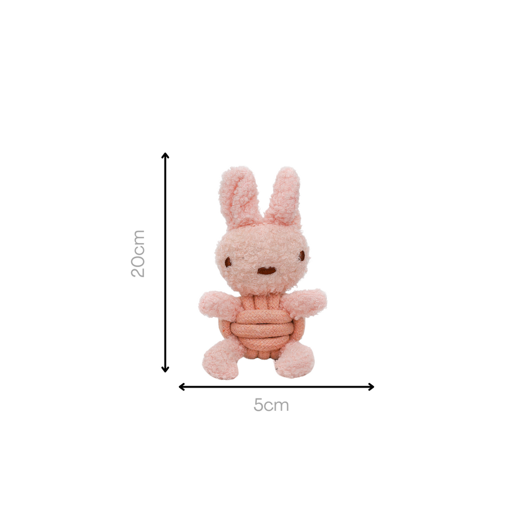 Squeaky Rope Buddies | Plush & Rope Interactive Toy - Small to Medium Dog