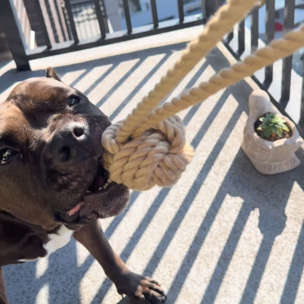 HempTug Natural Hemp Rope Ball | Durable & Eco-Friendly - Medium Dog