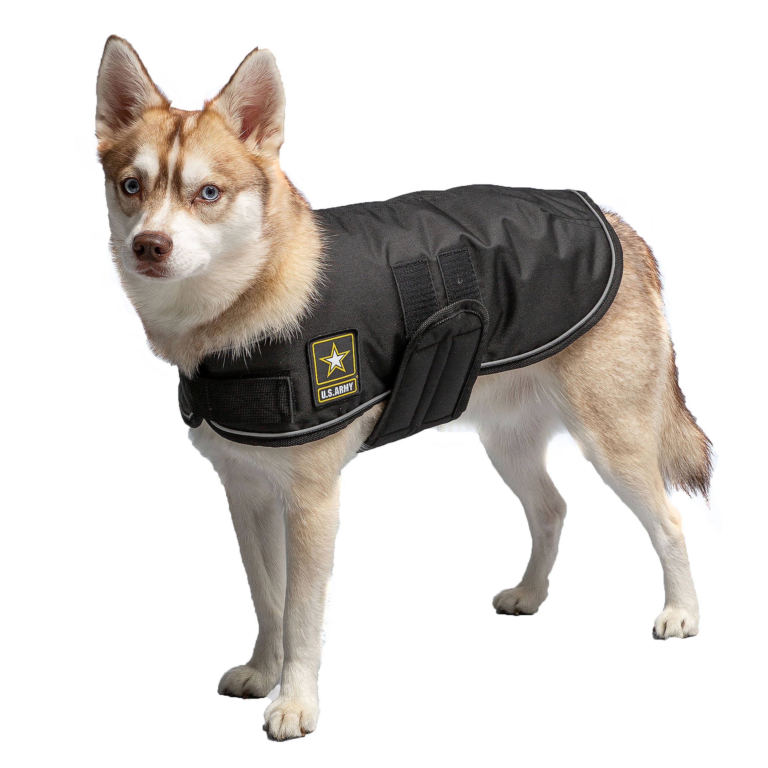 Official Licensed US Army® Dog Blanket Jacket - Black (Rugged Outdoor Gear)